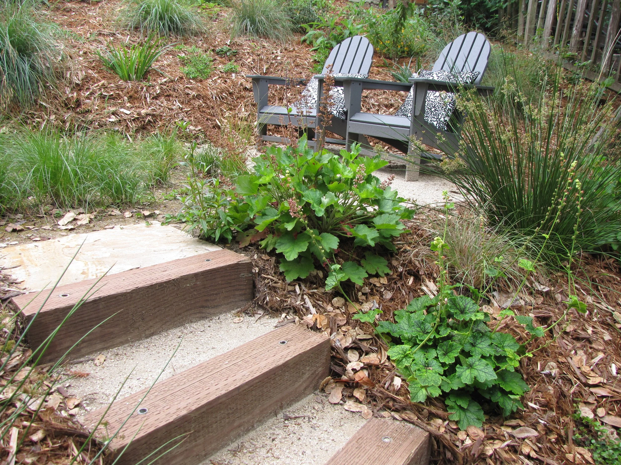 Fringe cups Tellima grandiflora next to timber tie steps with decomposed granite landings on a hillside sloped california native plant pollinator garden in oakland oak woodland understory Adirondack chair seating area