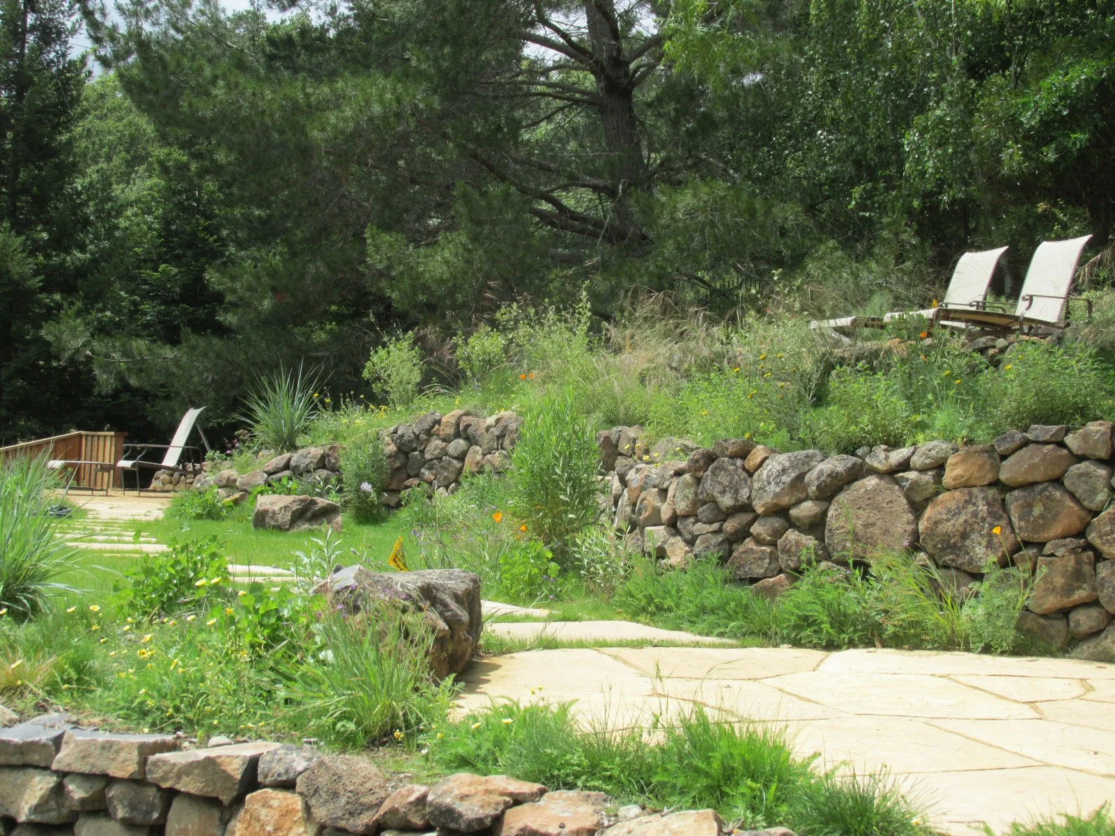 Dry stacked moss rock stone wall with california native plants and a natural meadow in front of a tan natural flagstone patio.