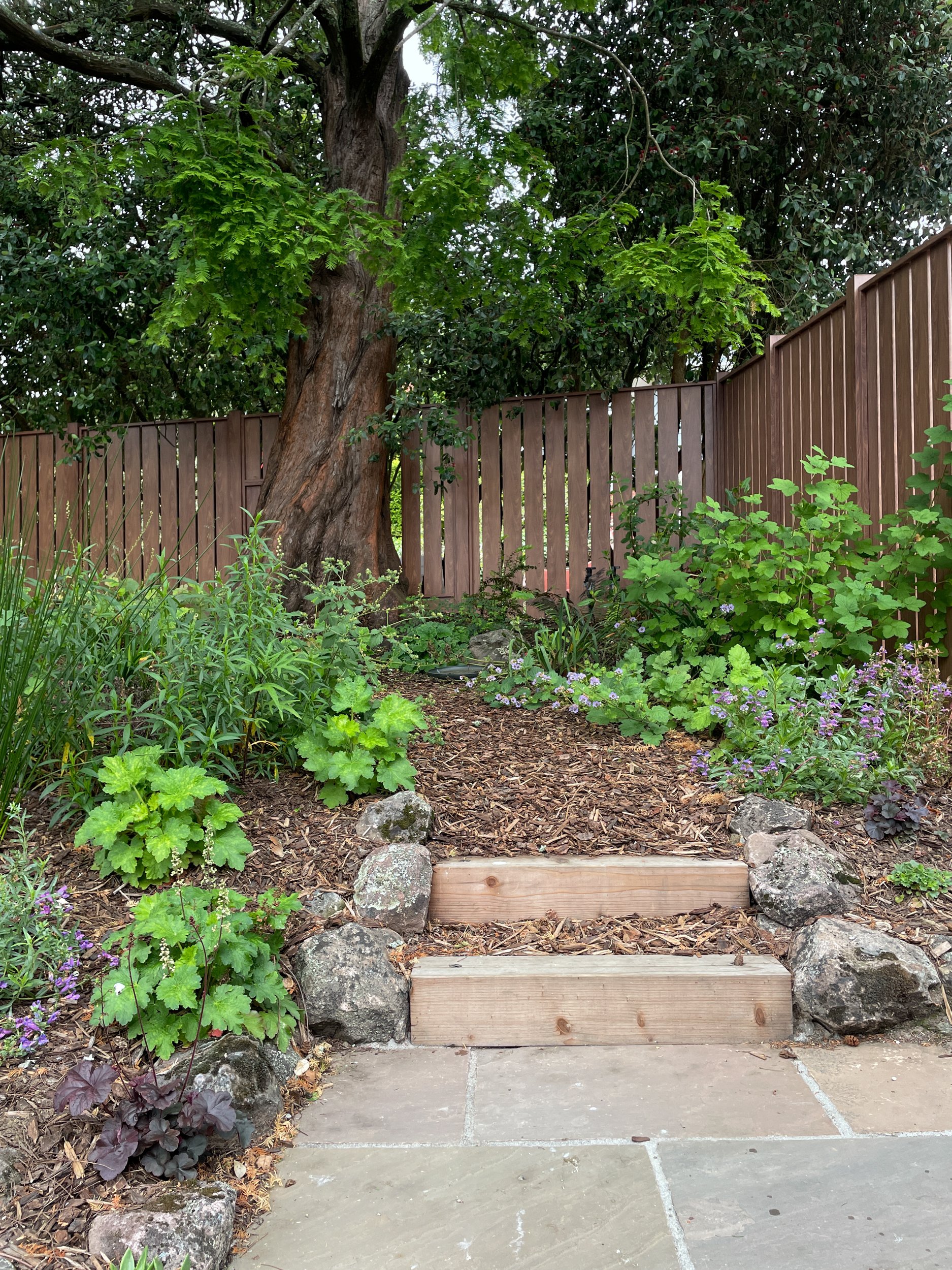 Moss rock walls and california native plants next to a stone walkway and timber tie steps