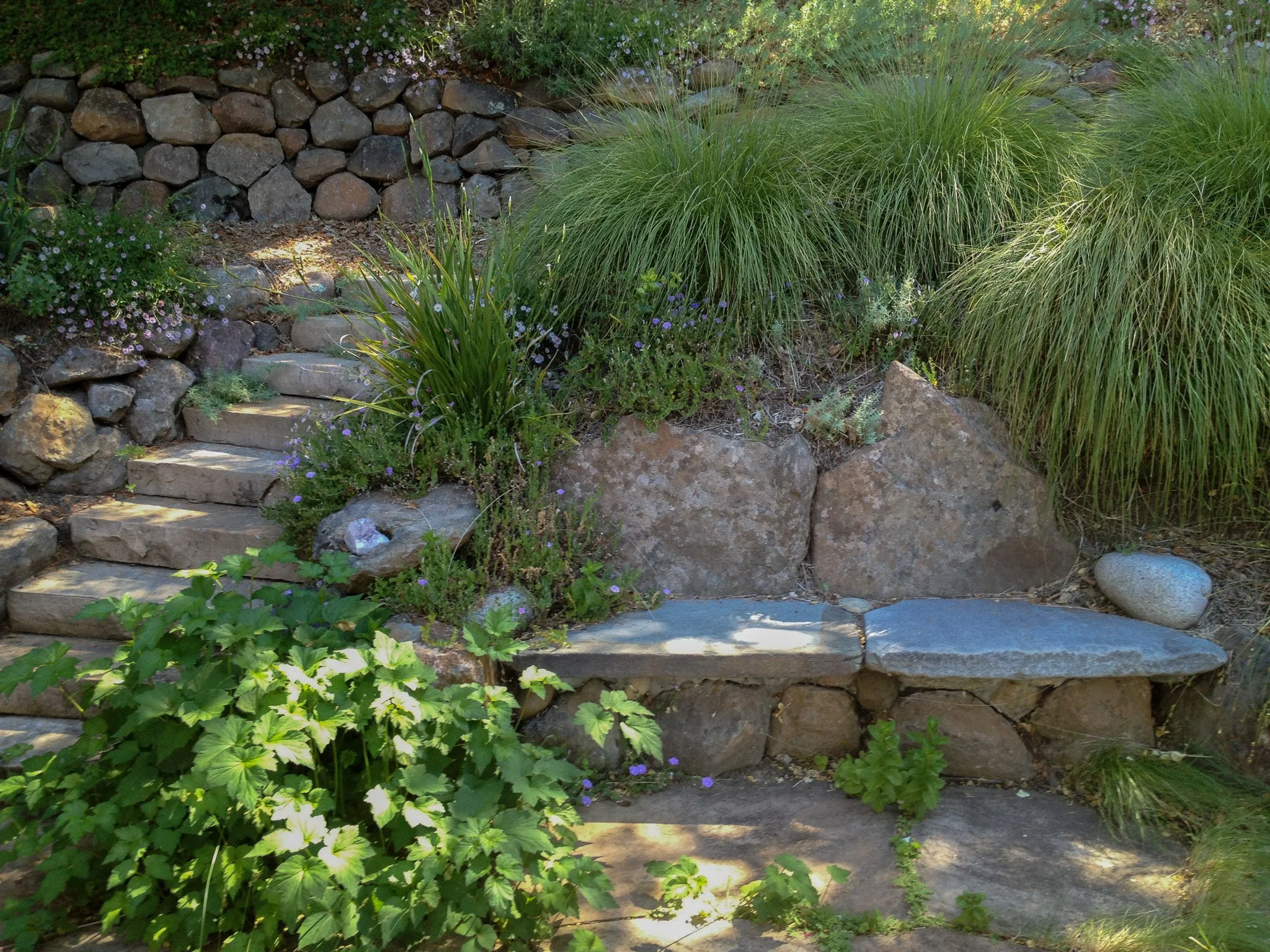 Stone bench built into wall stone steps terraced hillside grass california native plants natural garden seating shady rock seat