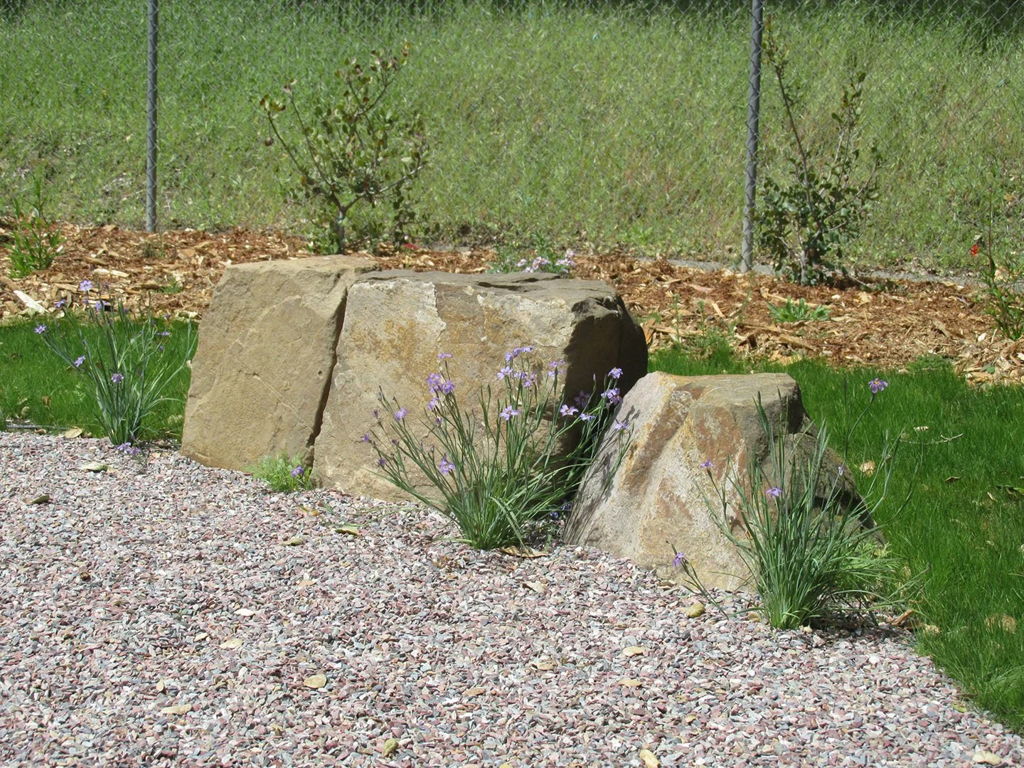 Large flat square tan boulders flank a gravel patio and california native meadow.