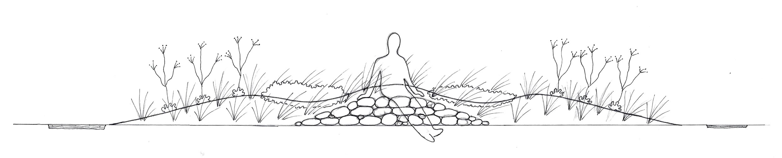 A conceptual sketch for a rock garden inspired by a visual connection to the Mt. Diablo range.
