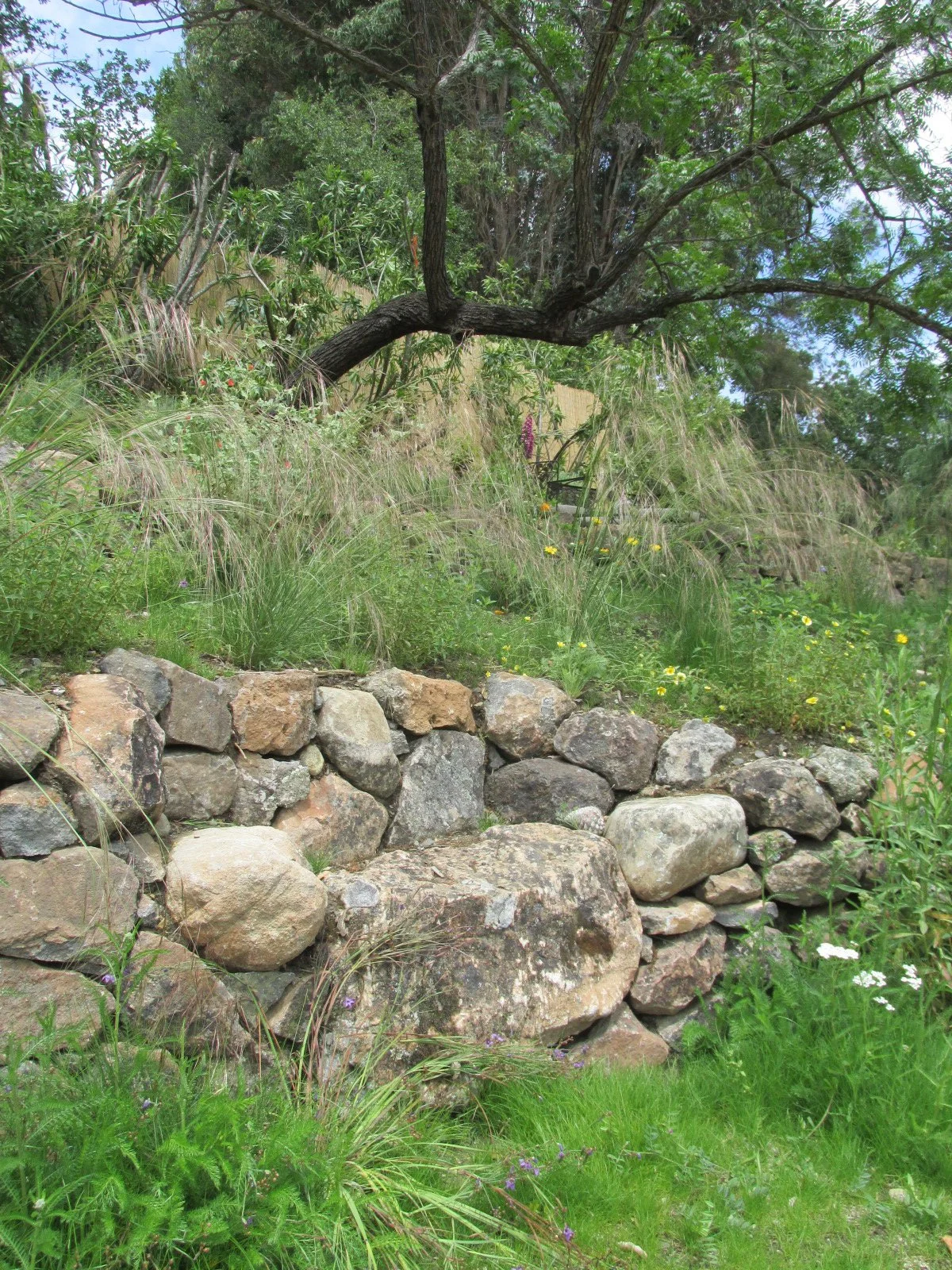 Stone bench built into wall terraced hillside grass california native plants natural garden seating rock seat