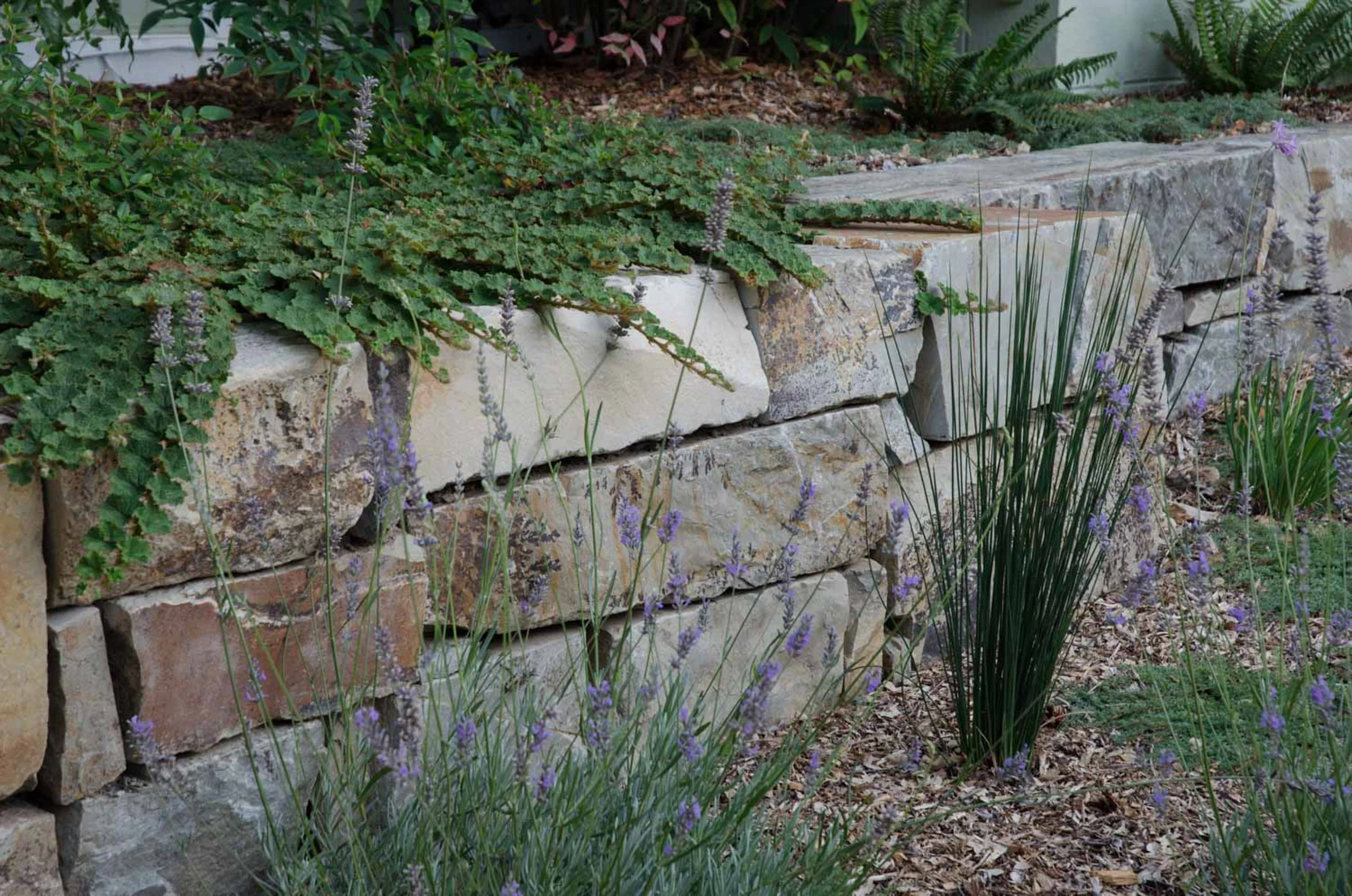 Linear geometric stacked stone low wall with california native plants