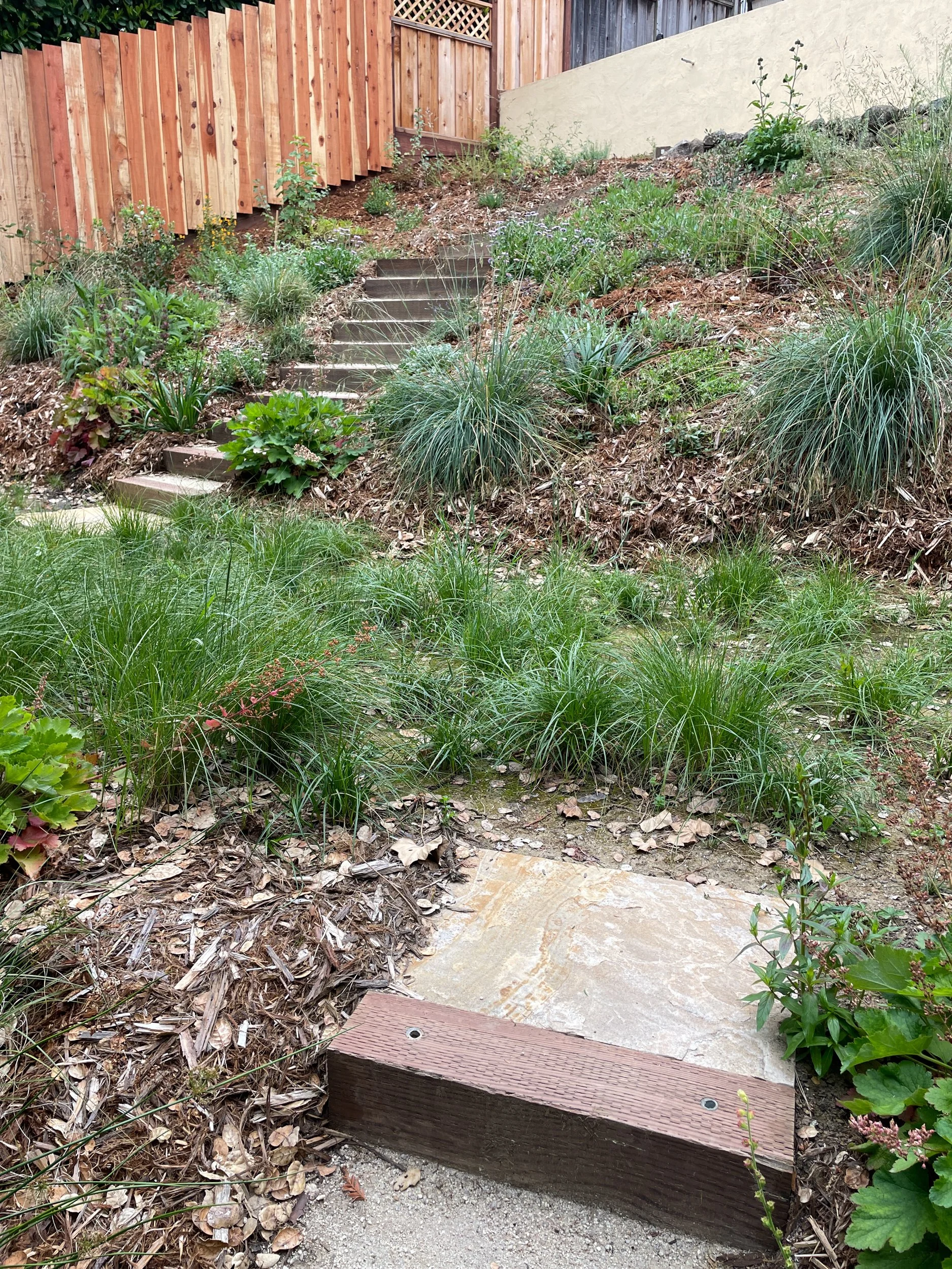 California native meadow in an oakland sloped hillside pollinator garden with timber tie steps and a flagstone landing up slope