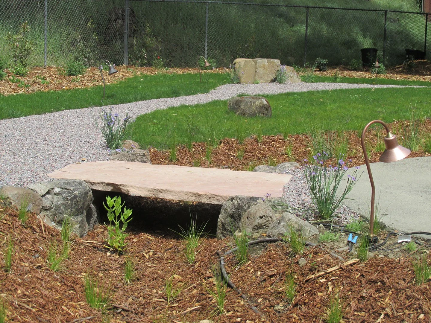 A bioswale and rain garden runs under a natural flagstone bridge to slow and sink water, with california native plants, and a gravel pathway with a native meadow.