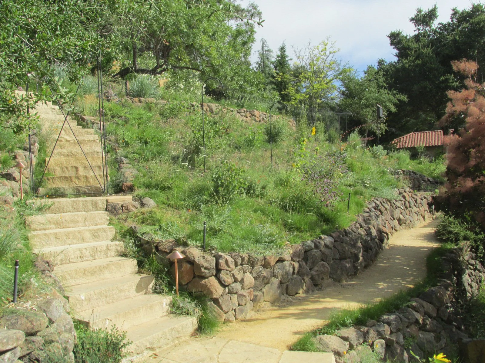 Stone landscape steps snake up the hillside in this terraced garden, and flagstone denotes the landing at the end of the DG pathway. An almost invisible fence denotes the deer corridor.