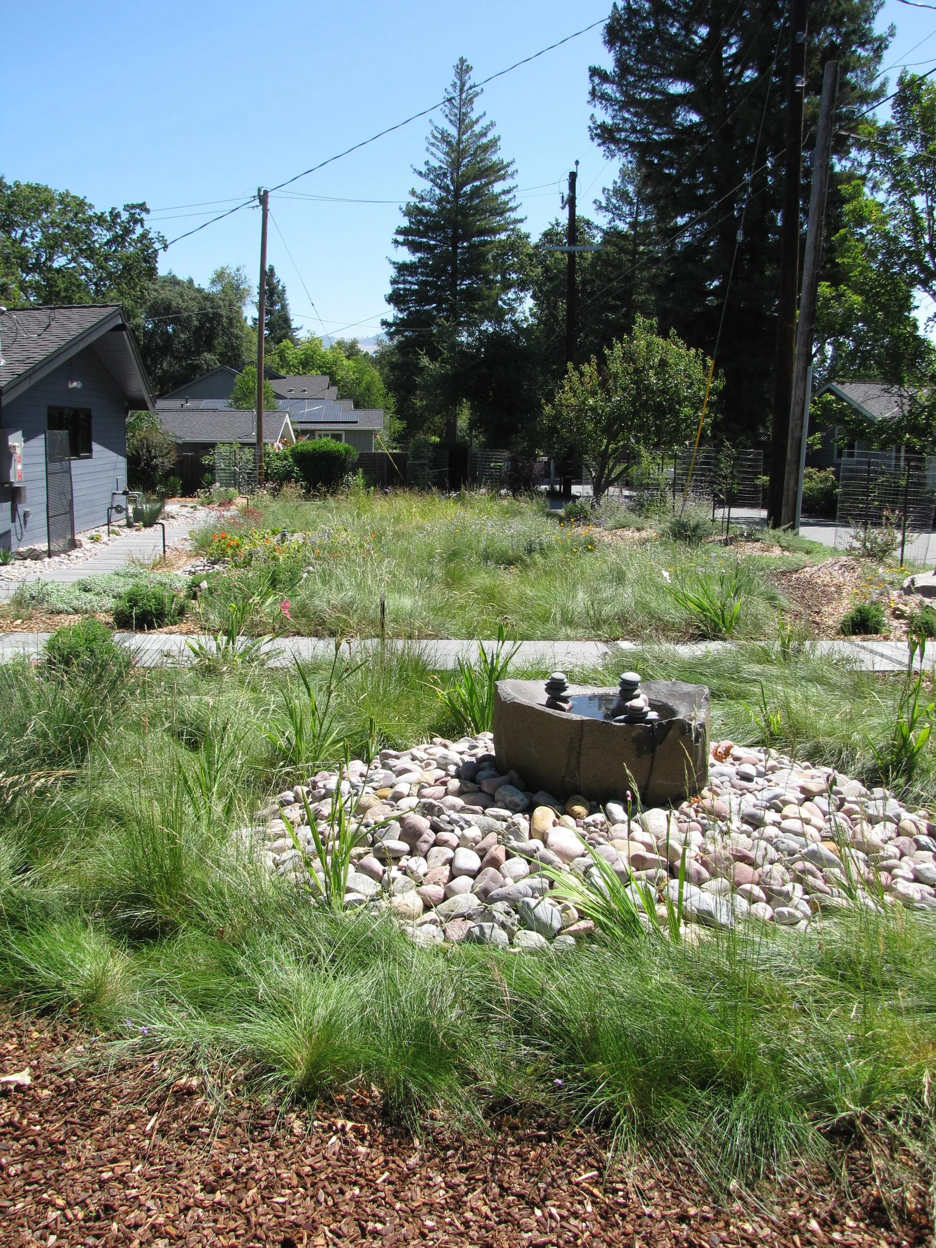 Stone basin bird bath water cairn stacked stone pebble base meadow sunny california native plants ecology natural garden