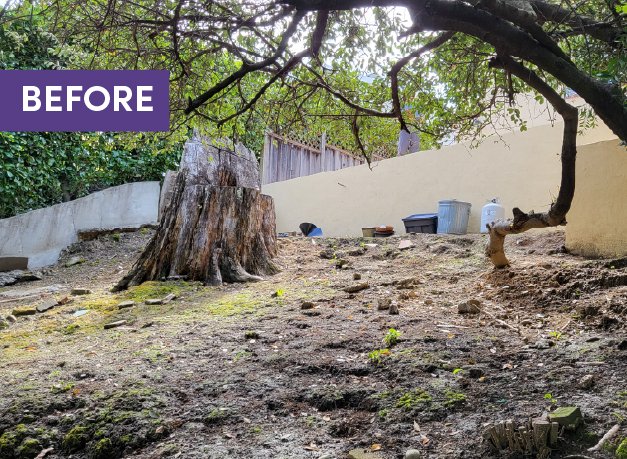 Before photo of a landscape hillside with a large stump and steep slope