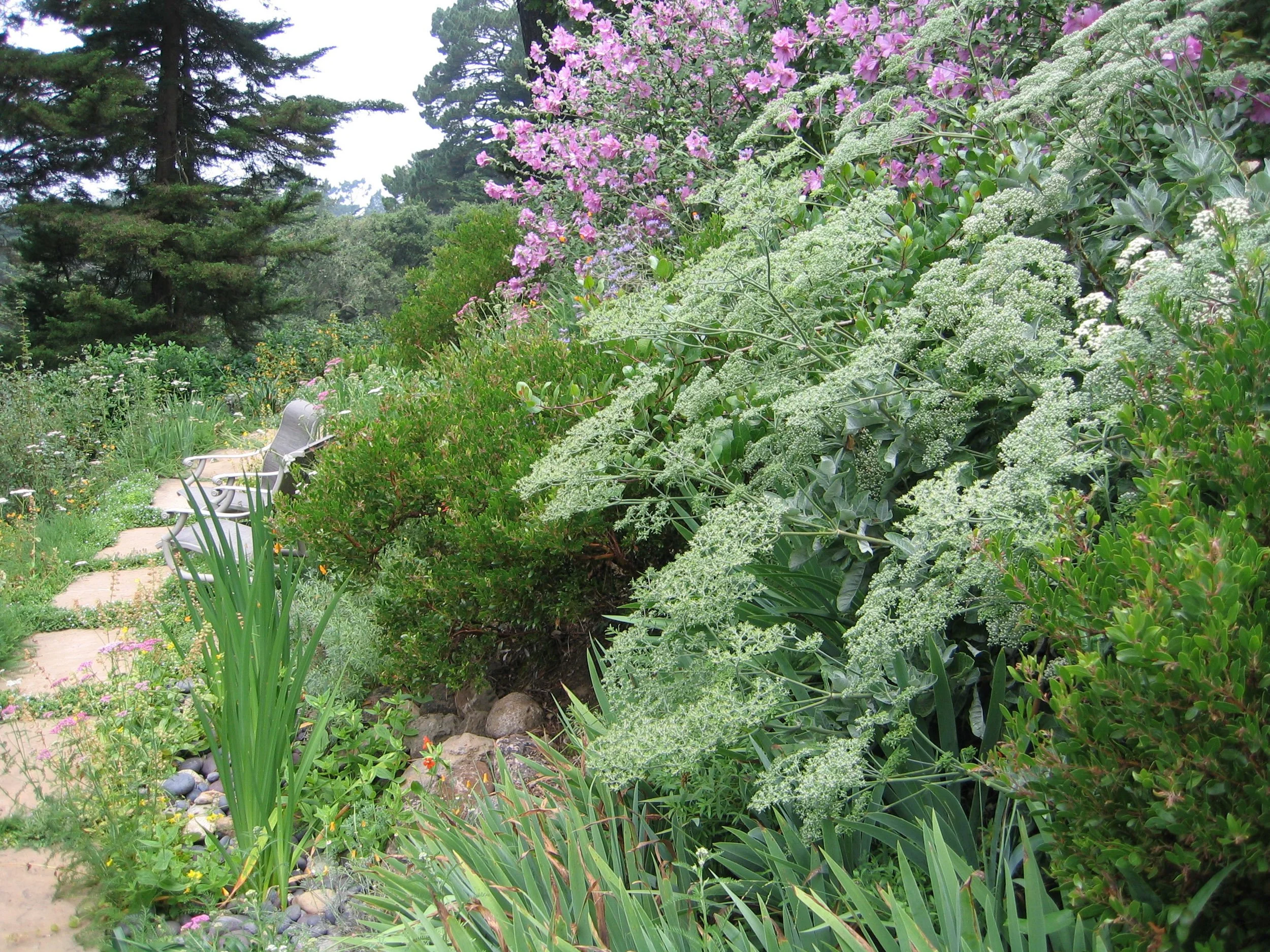Four Dimensions Landscape Plantings-42.jpg