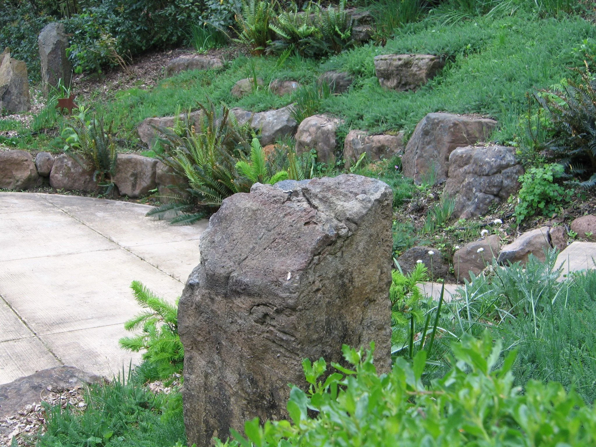 Large grey boulders in a california native plant residential landscape around a concrete patio forming a dry stack natural stone wall.