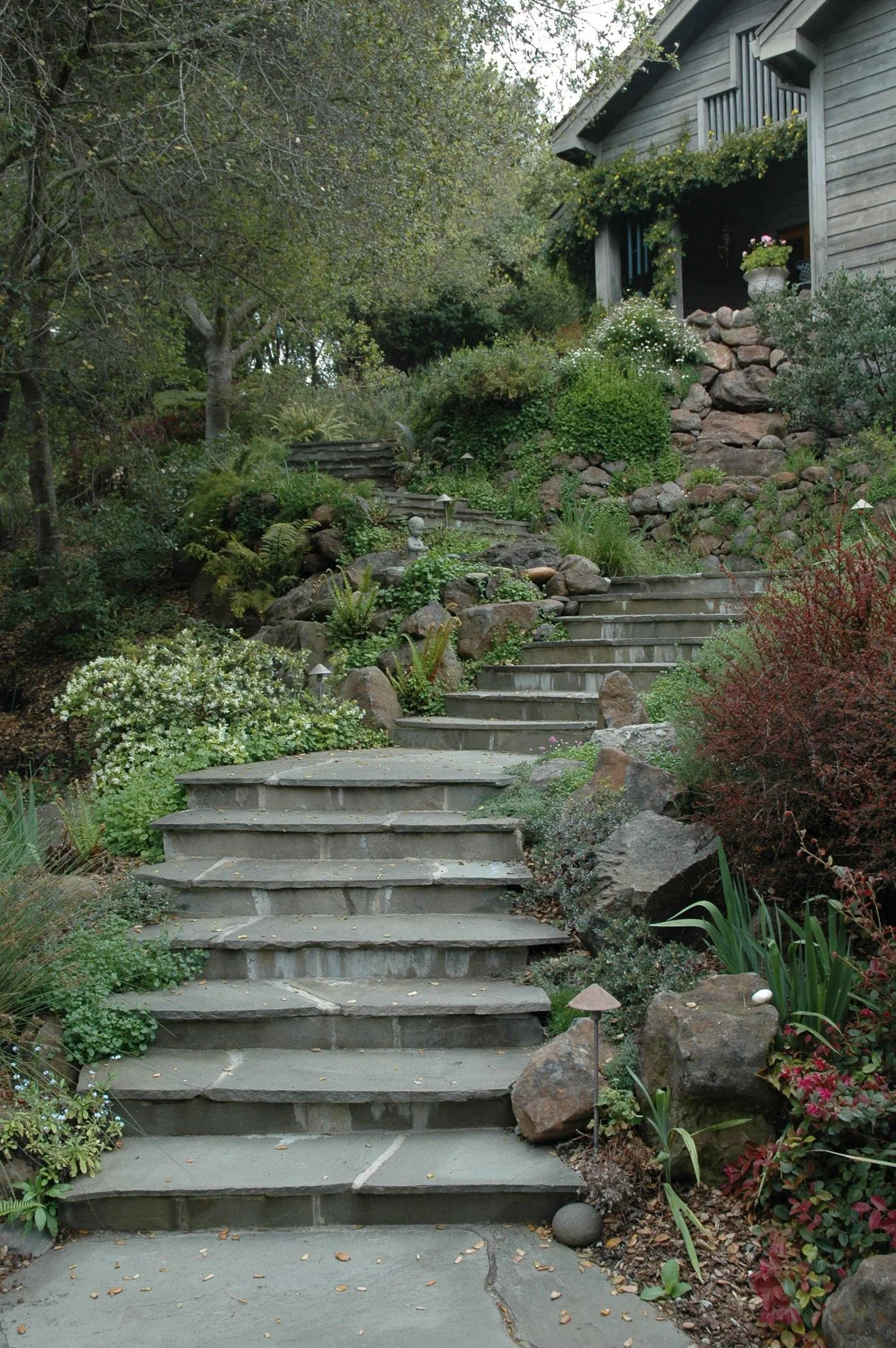 A formal curving grey flagstone stairway in a shady residential garden.