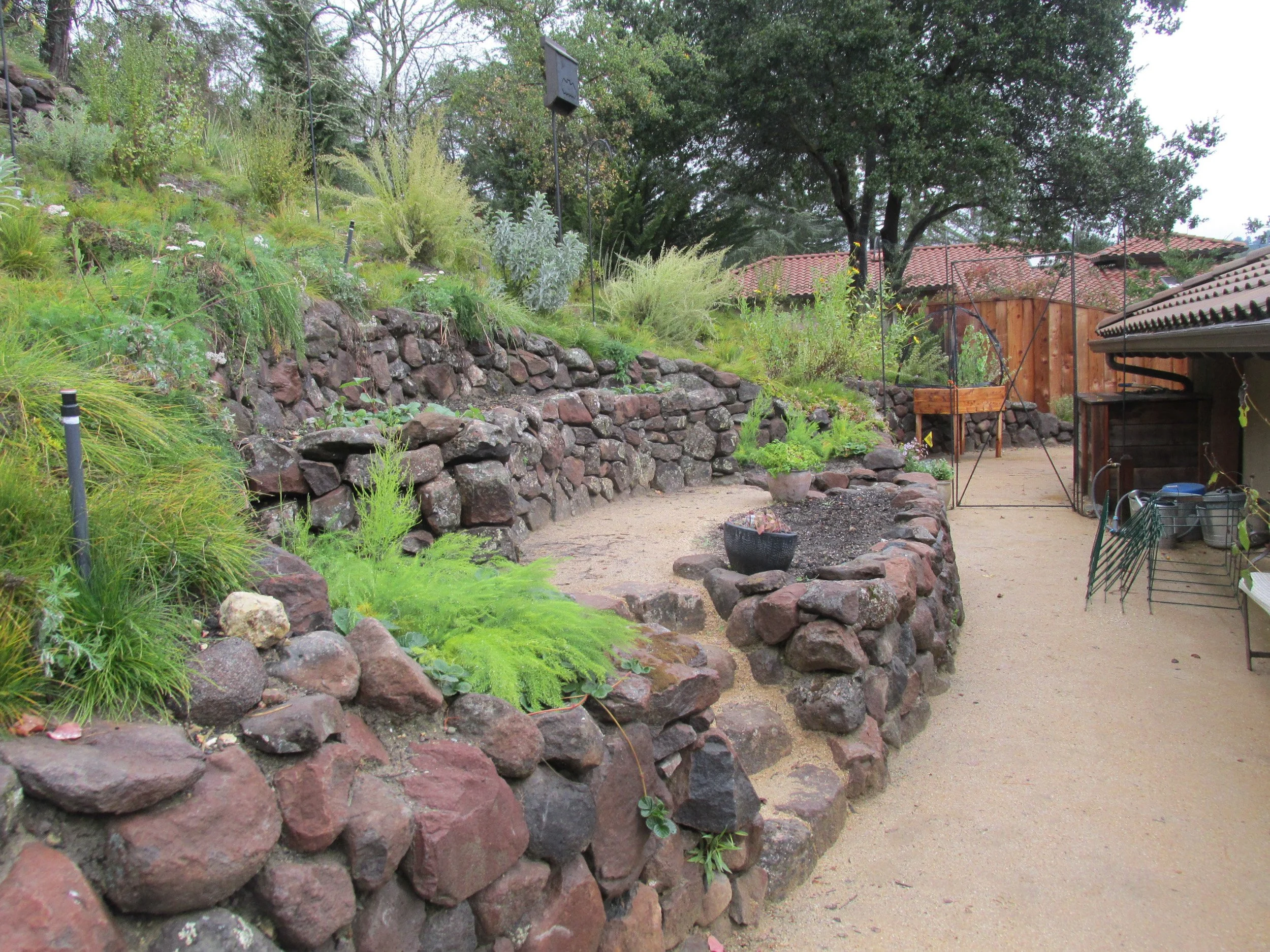 A decomposed granite patio and a drystacked rock wall in zone 0 helps to make this california residence fire resistant, near a natural stone terraced vegetable garden.