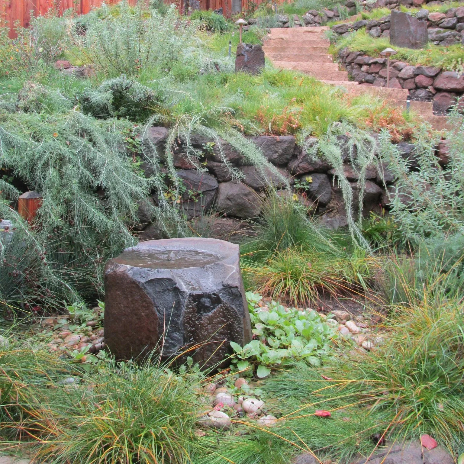 water feature stone basin fountain california native plant ecology garden slope stone wall