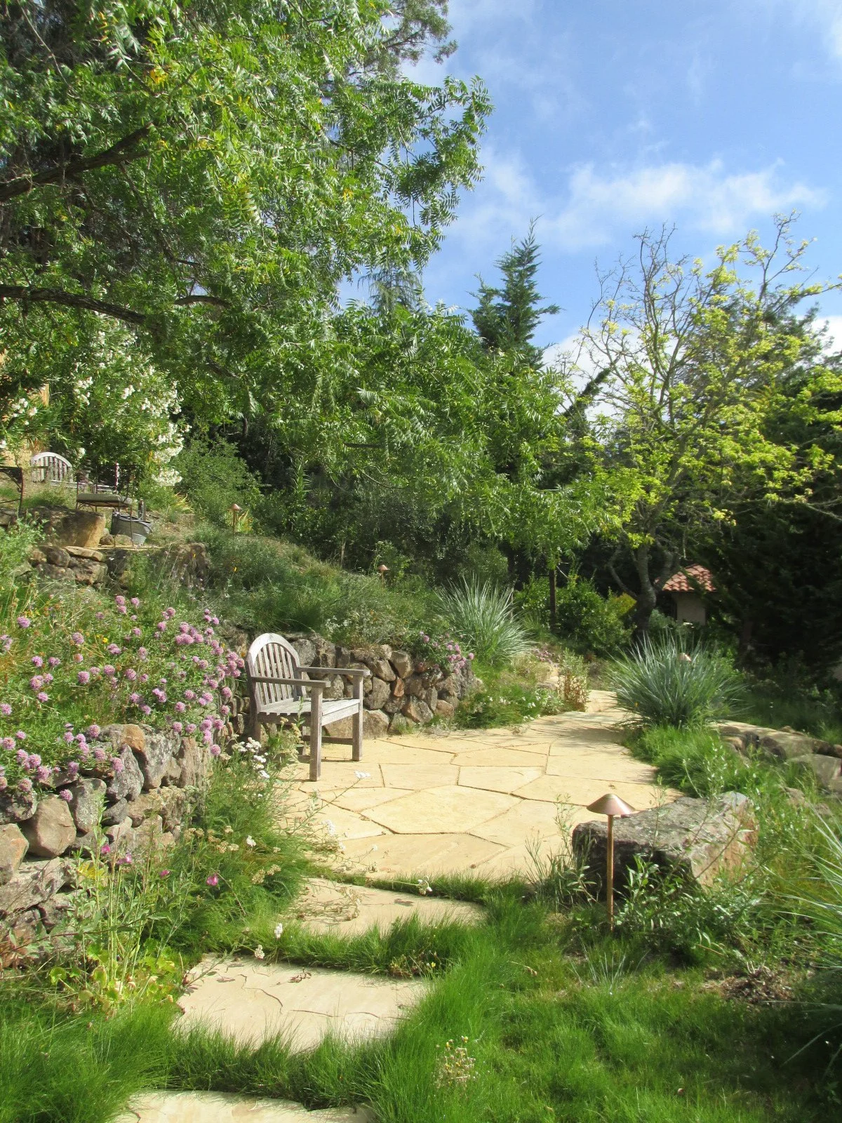 A wood bench tucked into an alcove of the natural stone wall on a flagstone patio, looking out over this hillside wildlife garden.