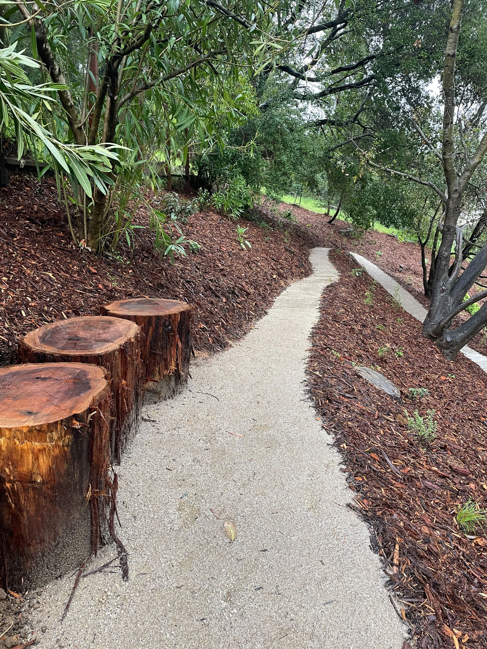 Log bench seats double as retaining wall on steep hillside garden with california native plants and decomposed granite pathway