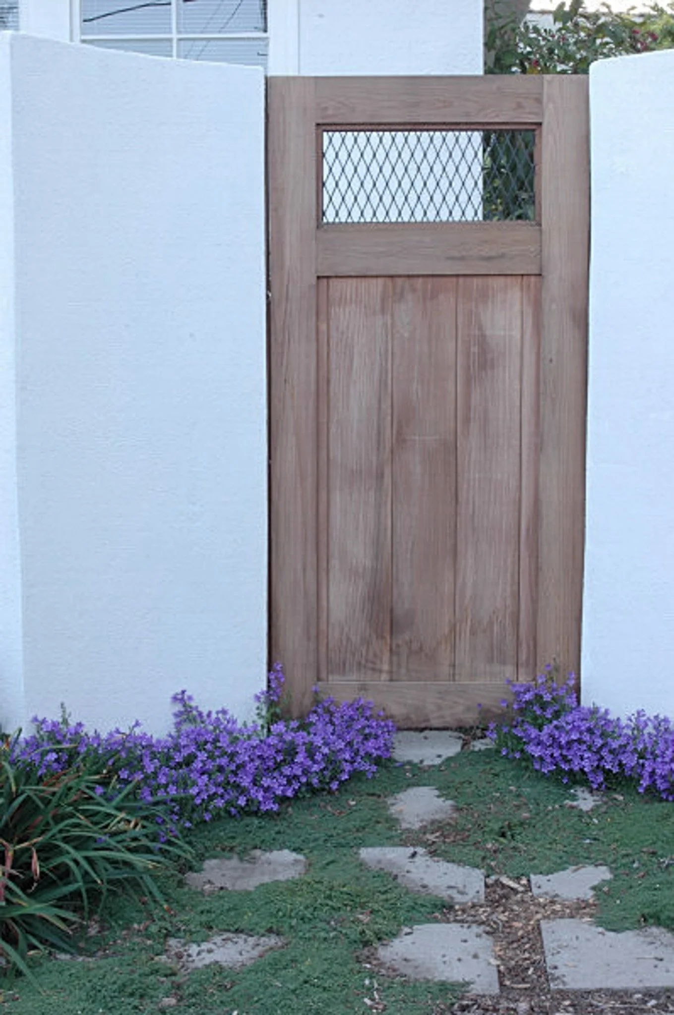 A wood gate in a stucco wall in front of a flagstone patio with groundcover joints