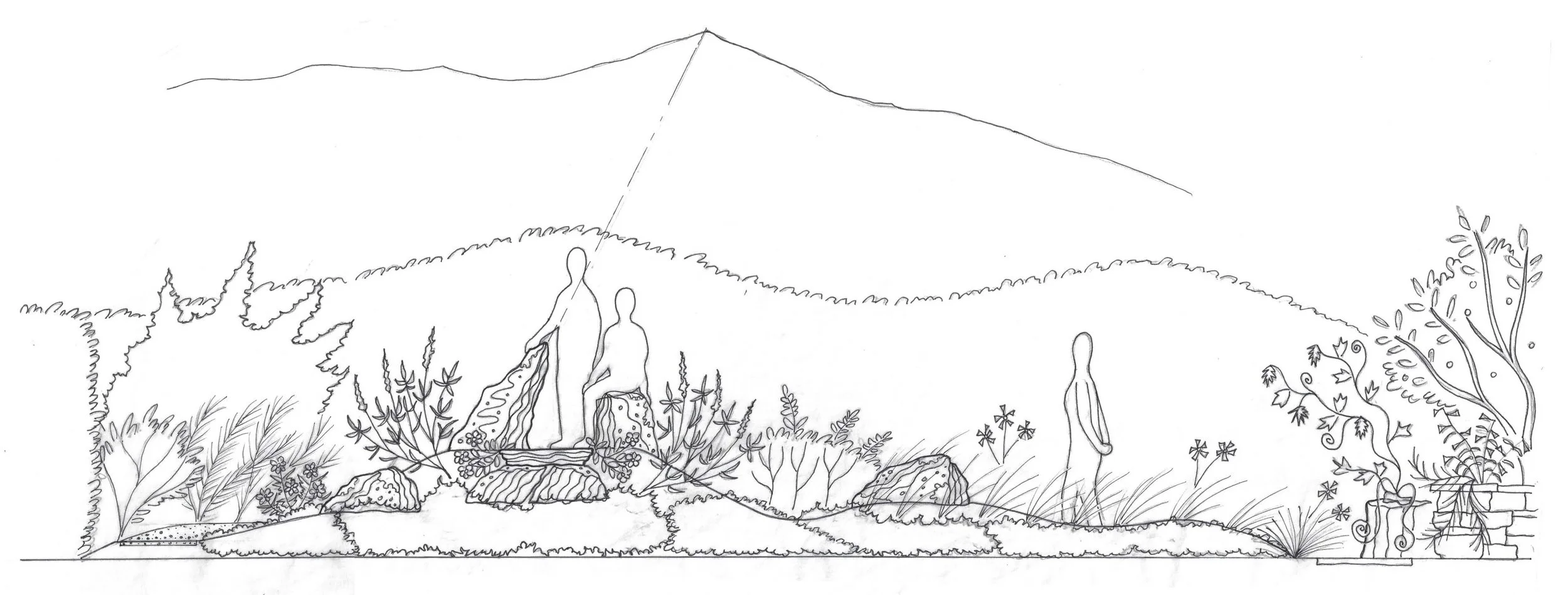 A conceptual sketch for a rock garden inspired by a visual connection to the Mt. Diablo range.