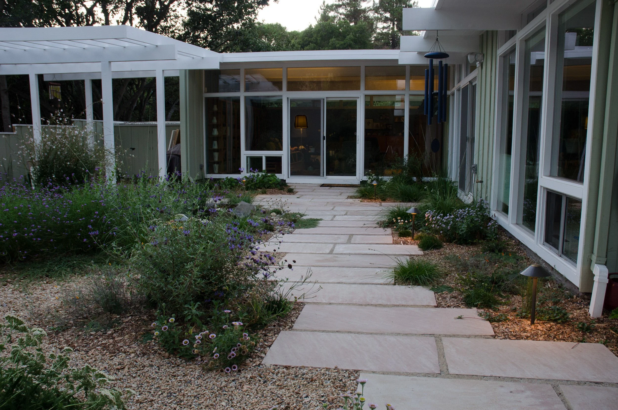 Modern architectural residence with tan stone paver pathway and california native plants.