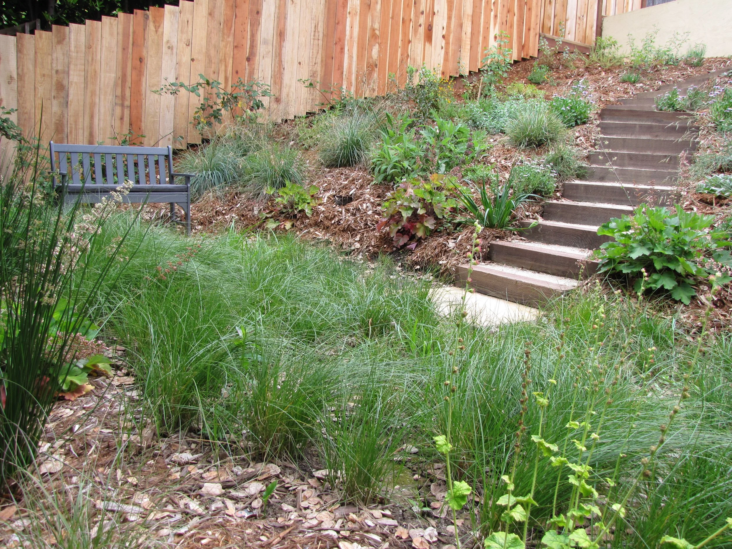 Bench seating area decomposed granite dg patio next to a california native meadow in an oakland sloped hillside pollinator garden with timber tie steps up slope