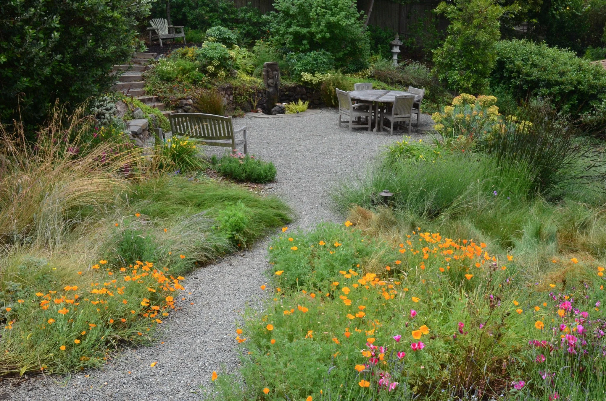 Gravel pathway and patio california native plant garden orange pink flowers wood furniture