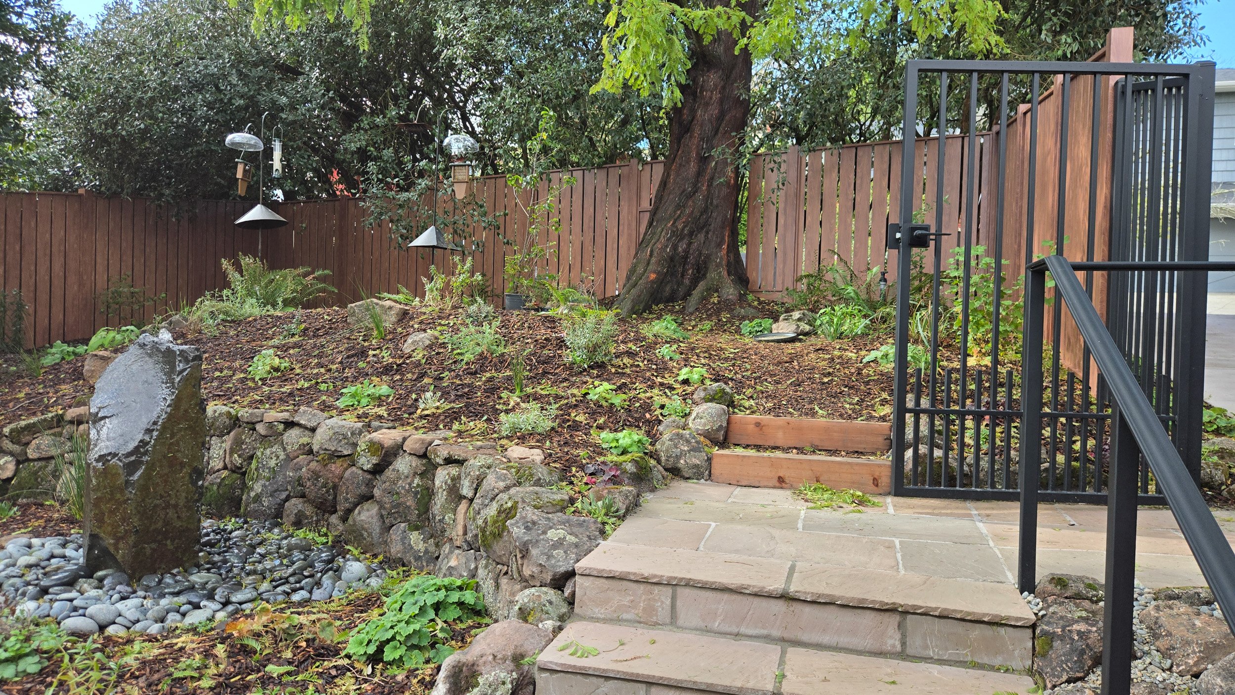 A stone patio with metal fencing in a residential garden with california native plants