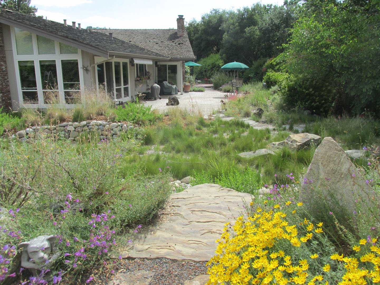 A view from the garden's summit, looking back at the house and over the natural meadow, with blooming California native plants and local rocks.