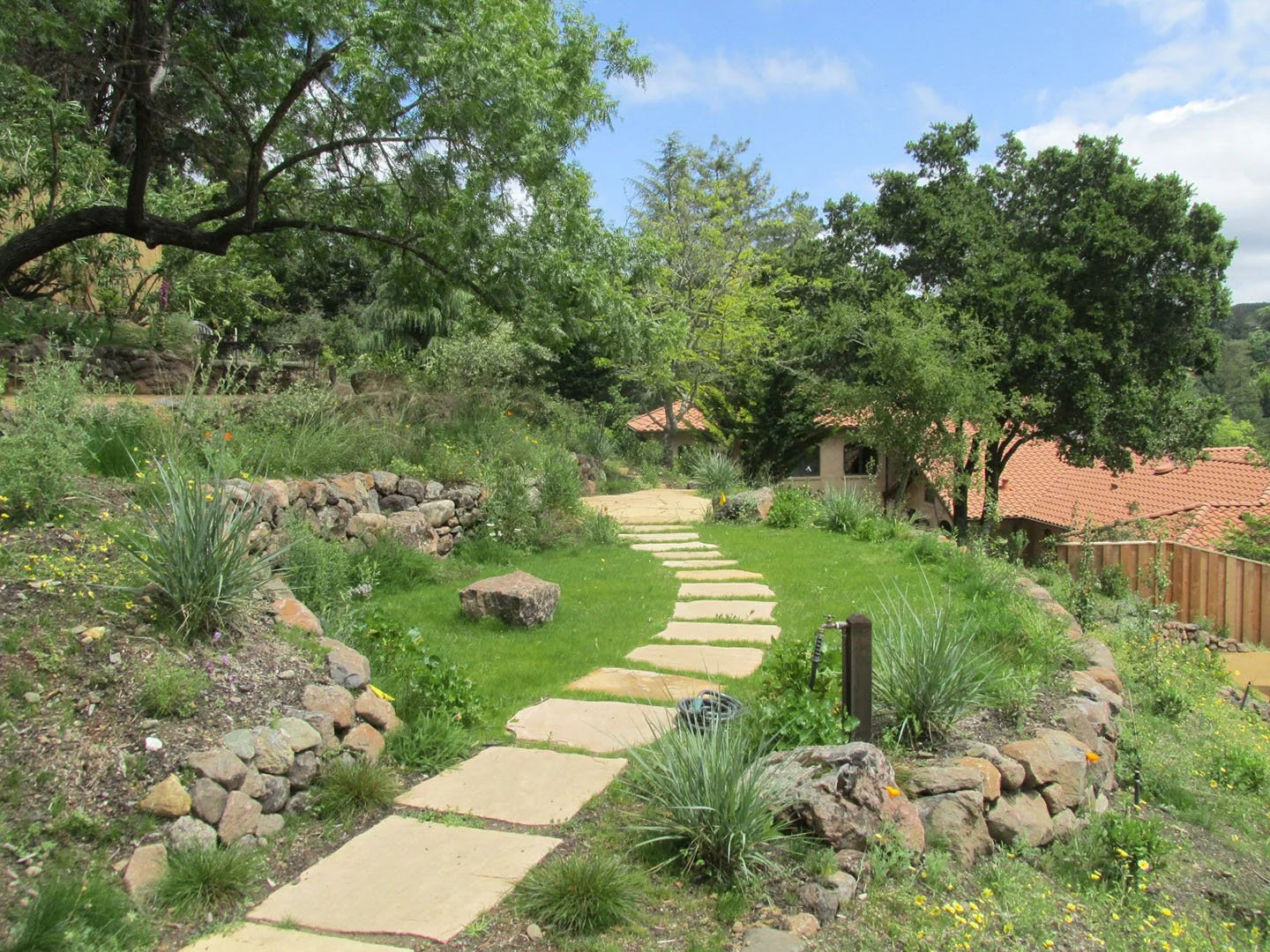 An organic flagstone pathway through a California native meadow on a sloped hillside garden with natural stone walls.