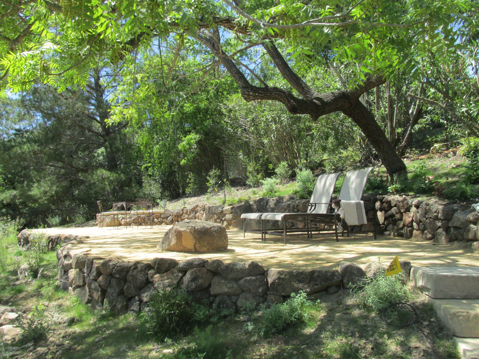 A decomposed granite patio under a shade tree with lounge chairs to enjoy the hillside view.