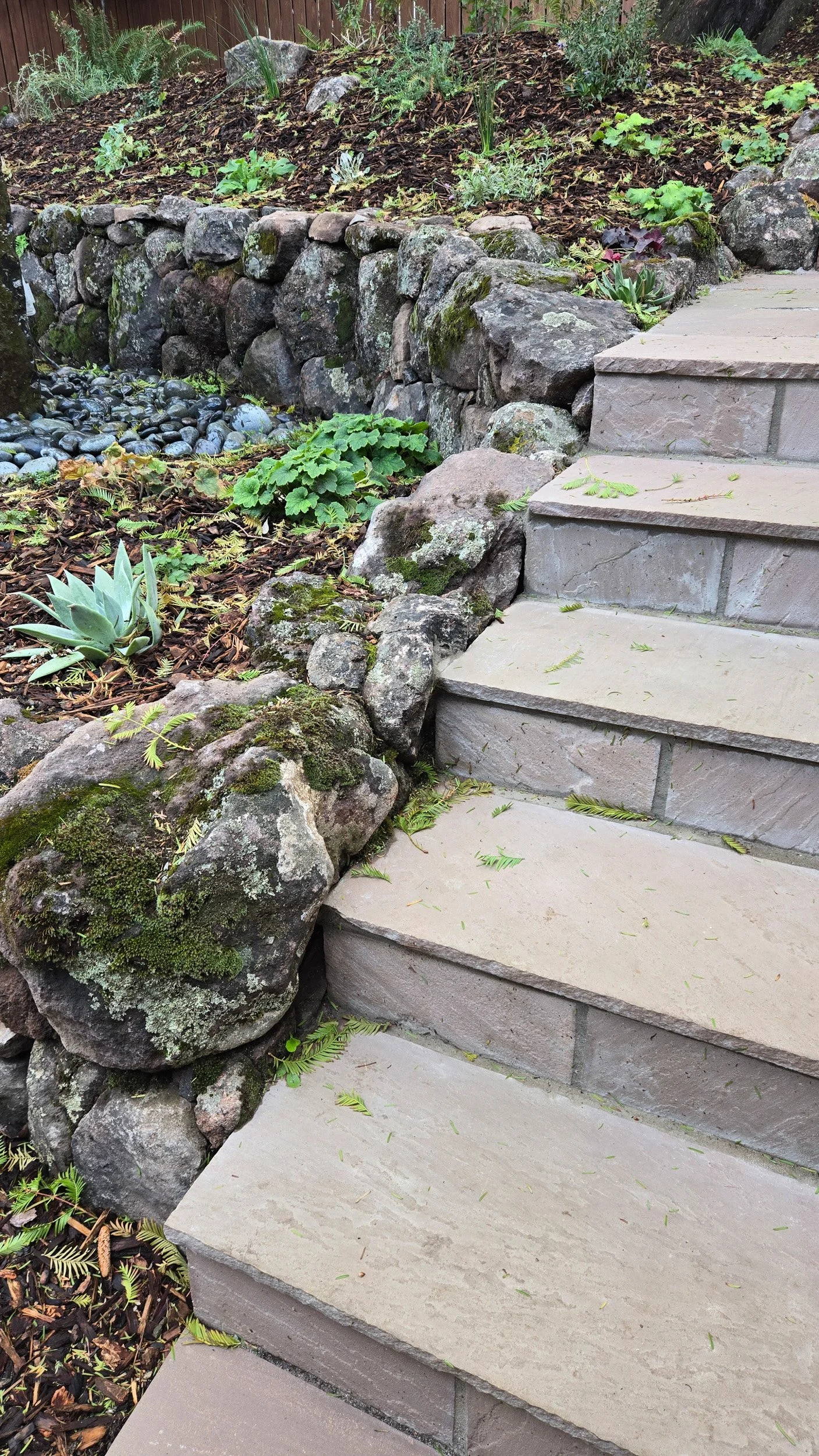 Formal geometric stone paver landscape steps next to dry stacked moss rock stone wall with california native plants.