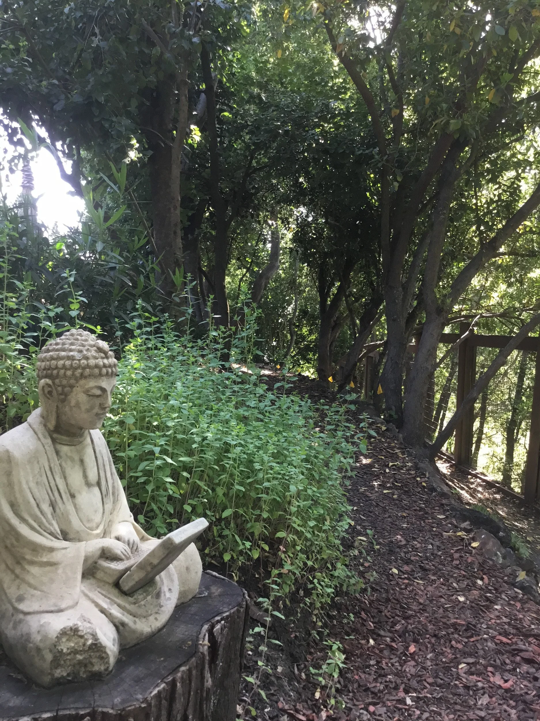 A contemplative statue on a lower mulch garden path.