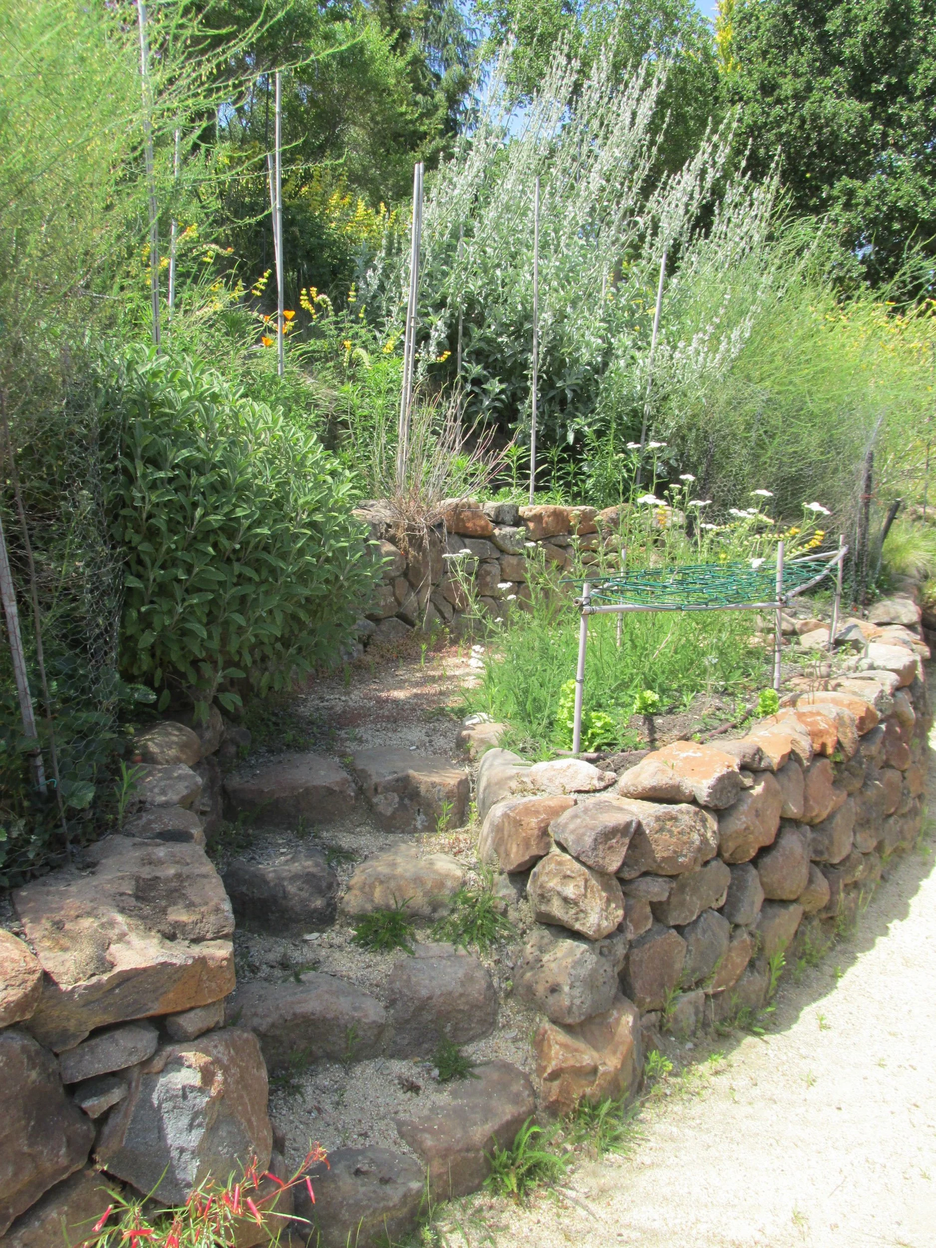 Dry stacked stone wall and rock steps lead up to a terraced vegetable garden.