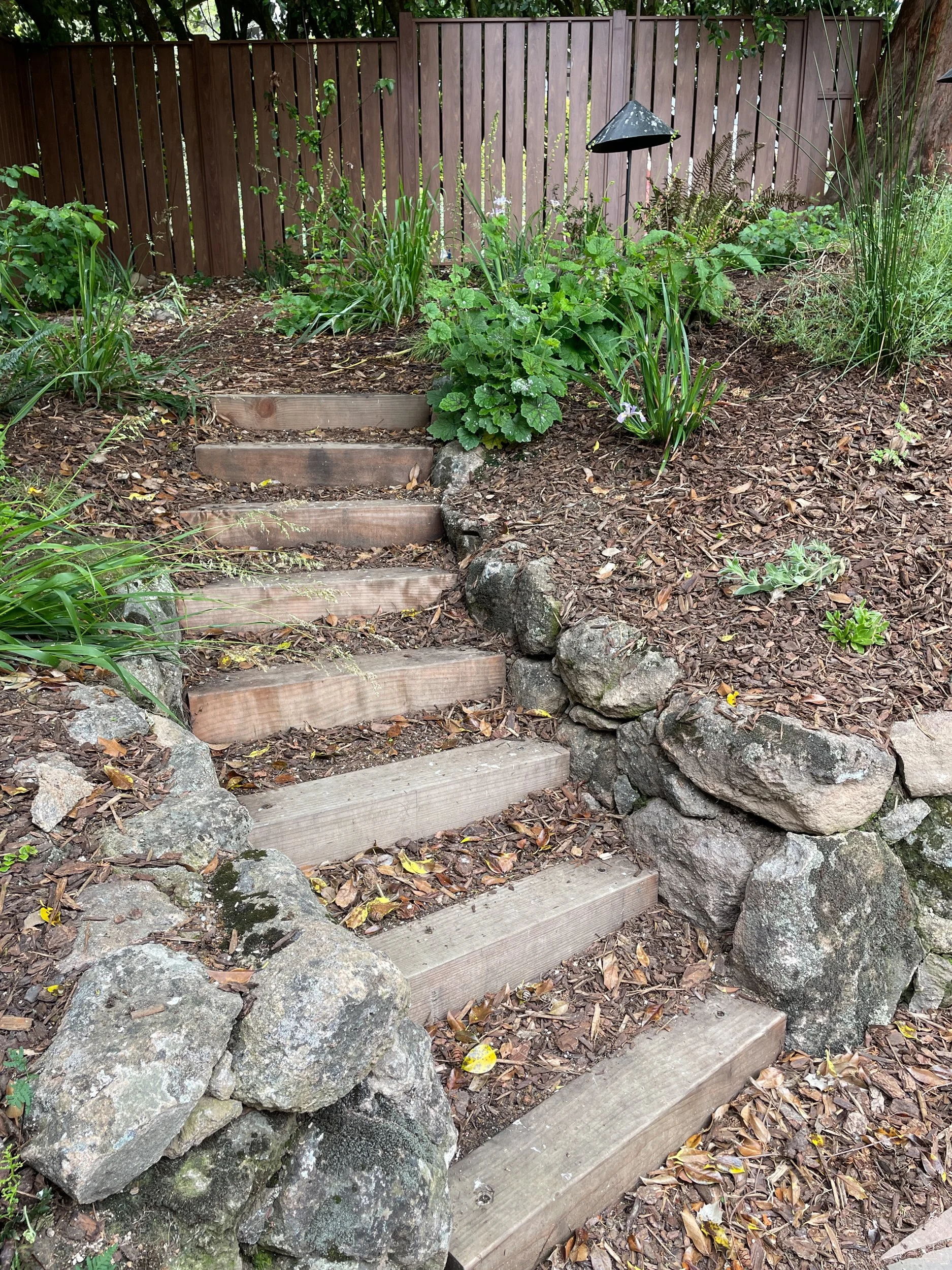 Timber tie curved wood steps with a grey dry stacked stone wall in a california native plant garden.