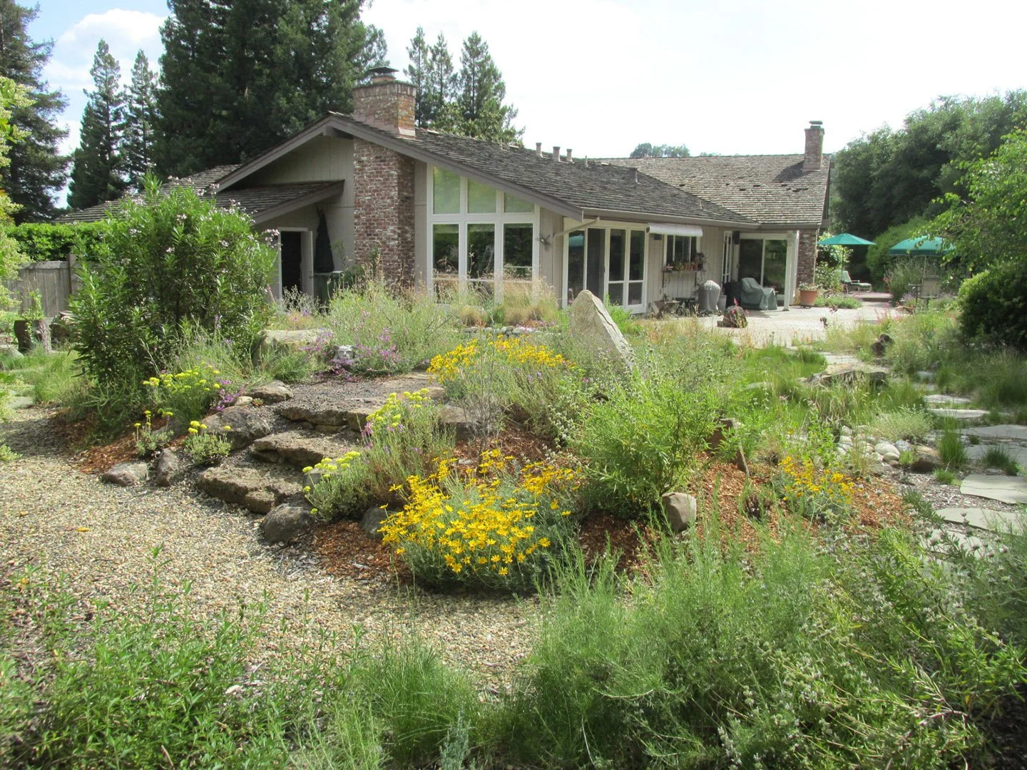 California native plants surround the high point of this Mt. Diablo-inspired garden. Follow the gravel pathway and climb the stacked stone steps to reach the summit and gaze over the native meadow.