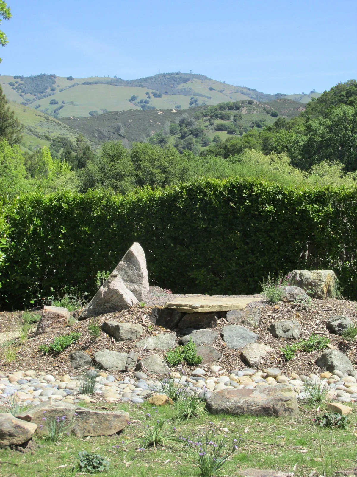 Mt. Diablo Rock Garden