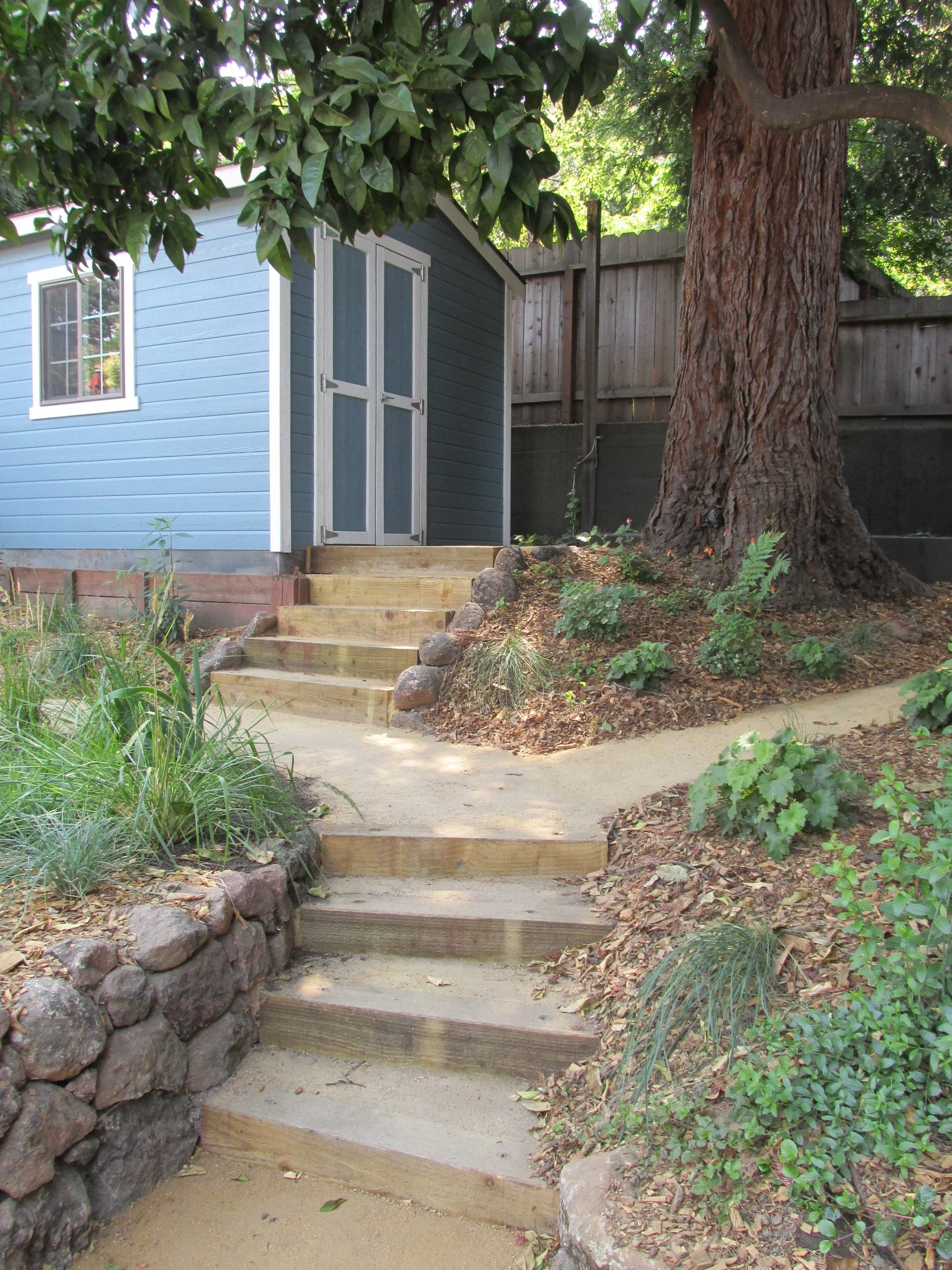 Curving natural wood timber tie steps with tan decomposed granite and a dry stacked stone wall under a redwood in a california native plant garden.