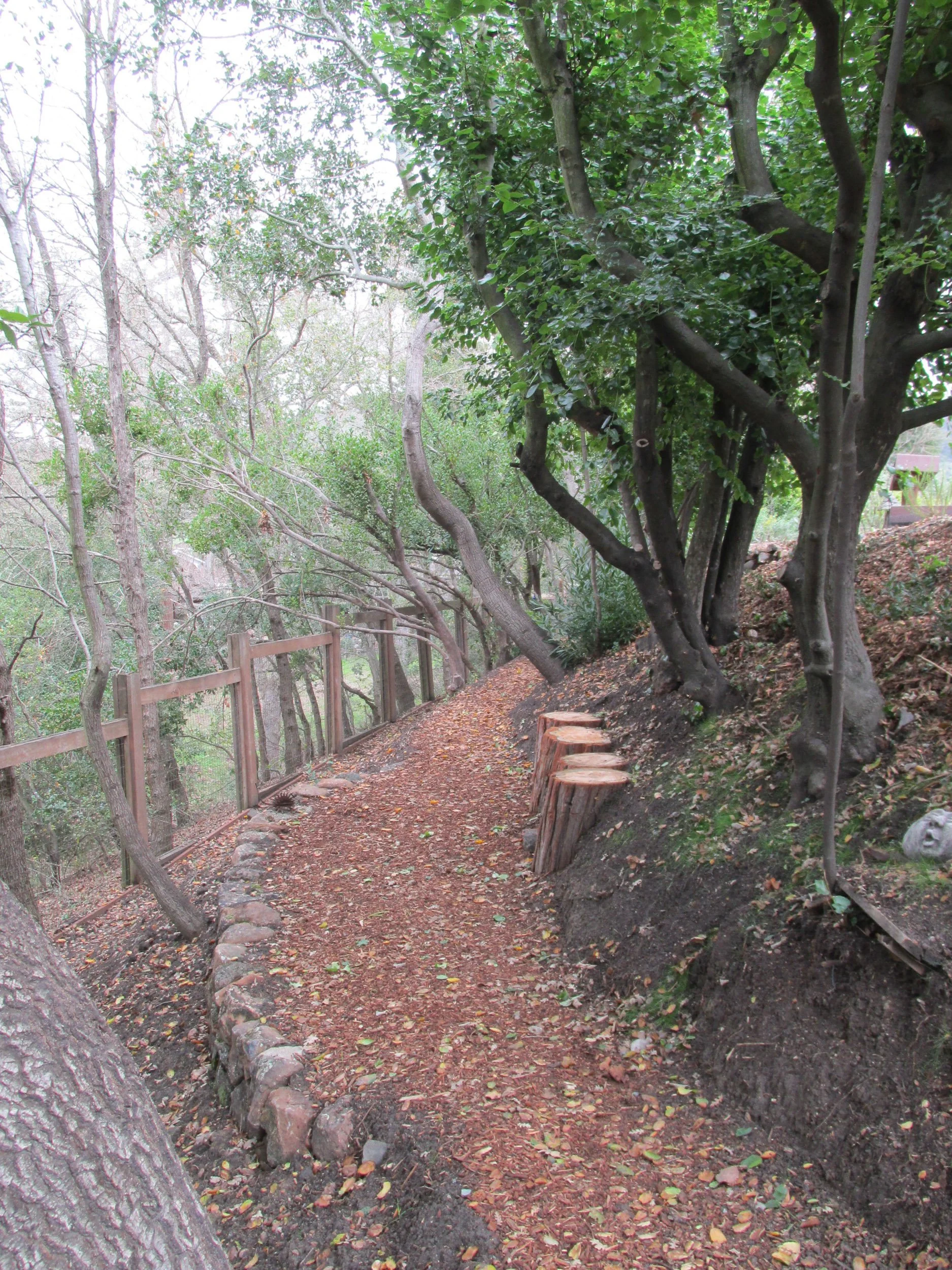 A lower mulch pathway with stump seating along the base of the property.
