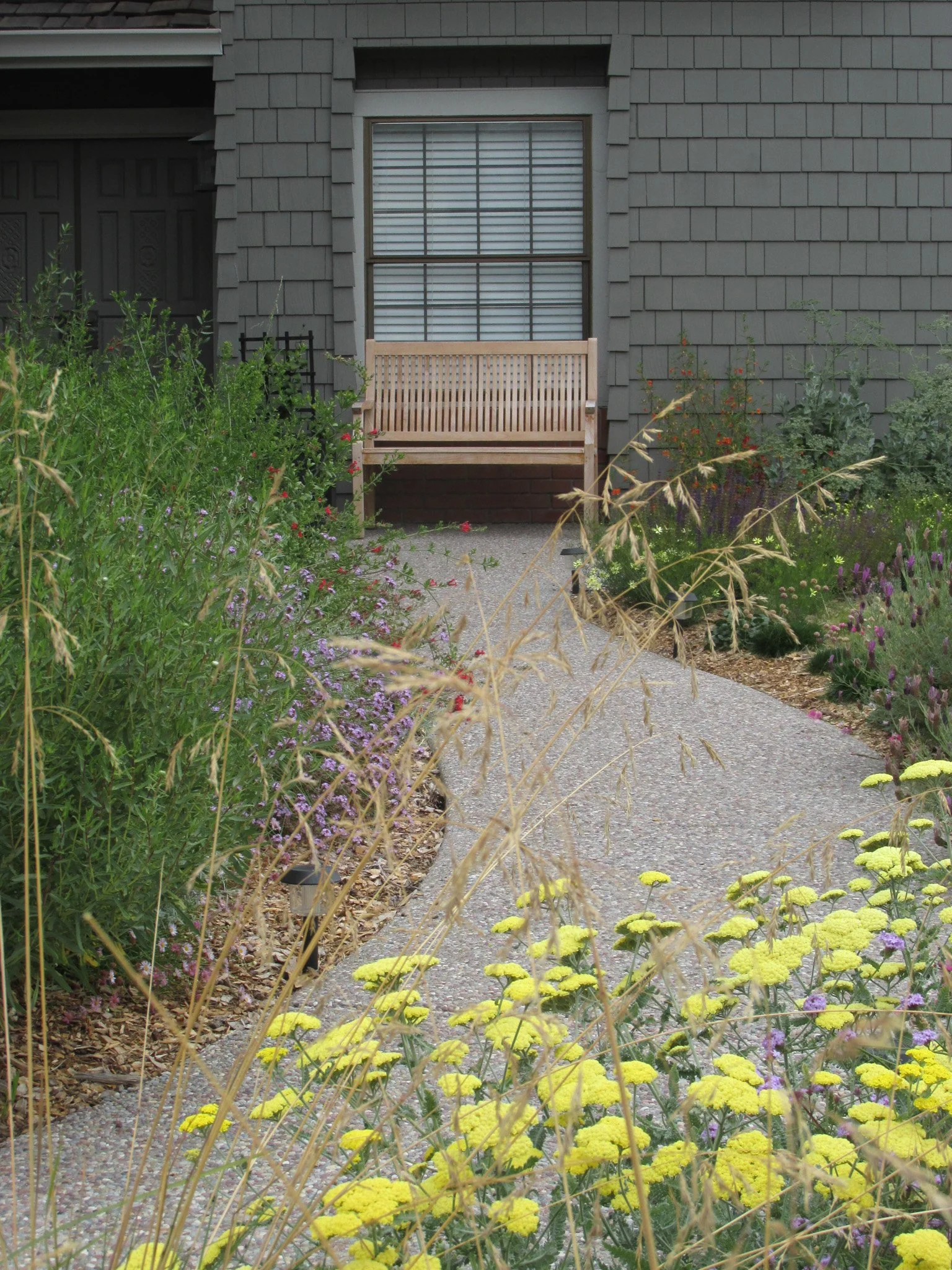 Wood bench in front entry of a california residential garden with organic curved concrete pathway and sunny california native plants
