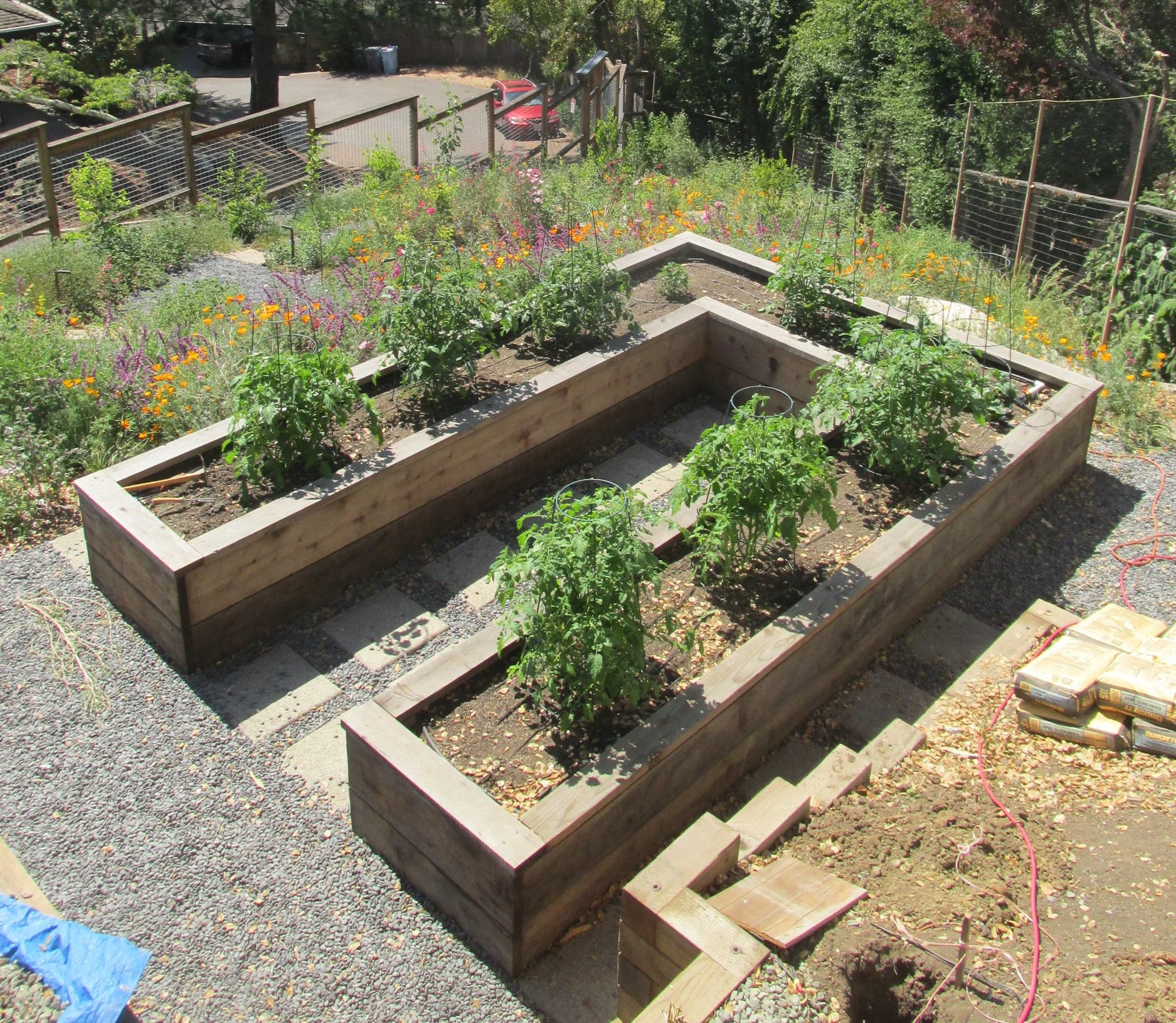 Keyhole wooden custom built raised bed vegetable garden in a california native plant residential landscape