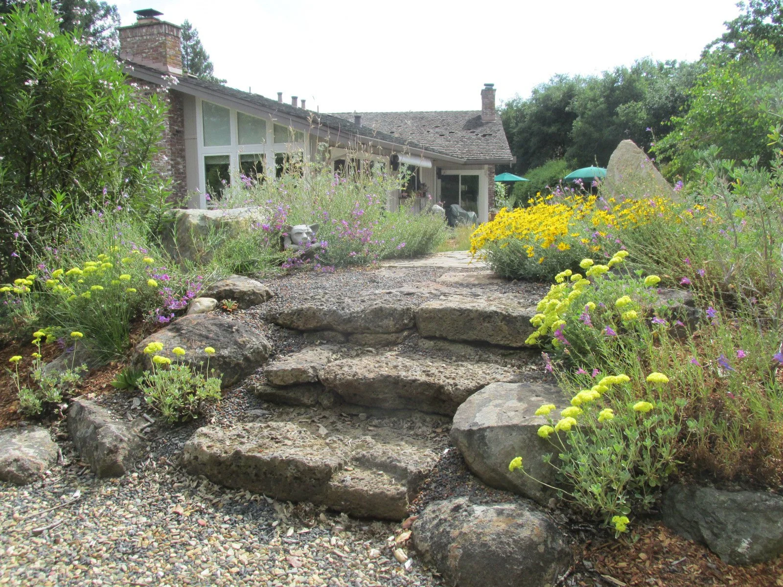 Stacked stone landscaping steps invite you to stand on top of this garden's summit and enjoy the view of the native California wildflower meadow.
