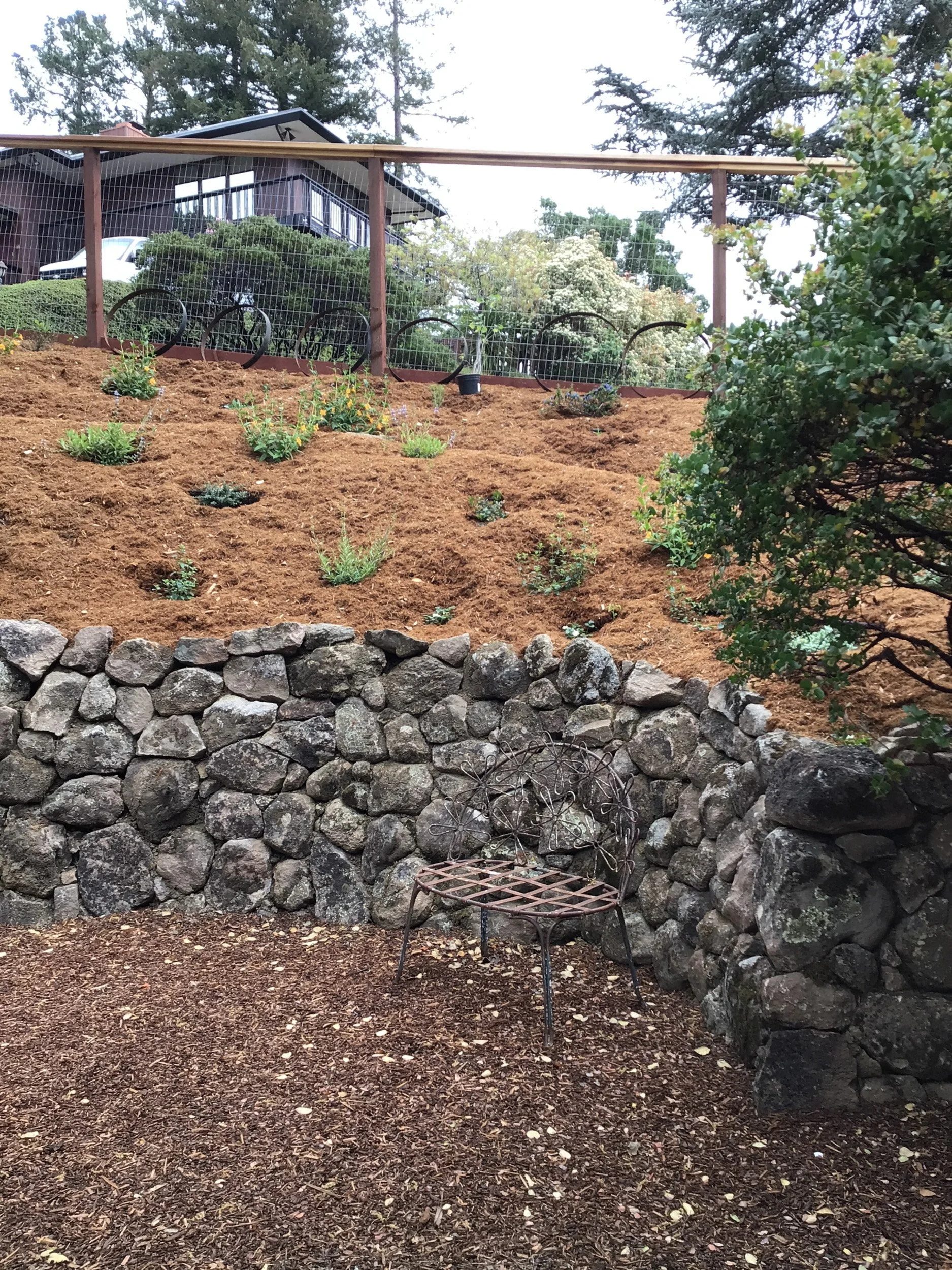 Dry stacked moss rock stone wall with metal bench and mulch patio in front of newly planted mulched hillside with california native plants.