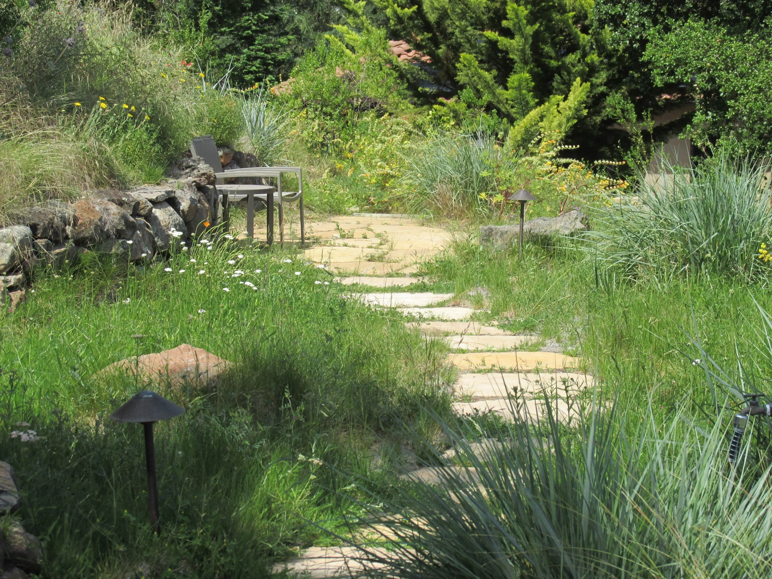 An organic flagstone pathway through a California native meadow on a sloped hillside garden with natural stone walls.