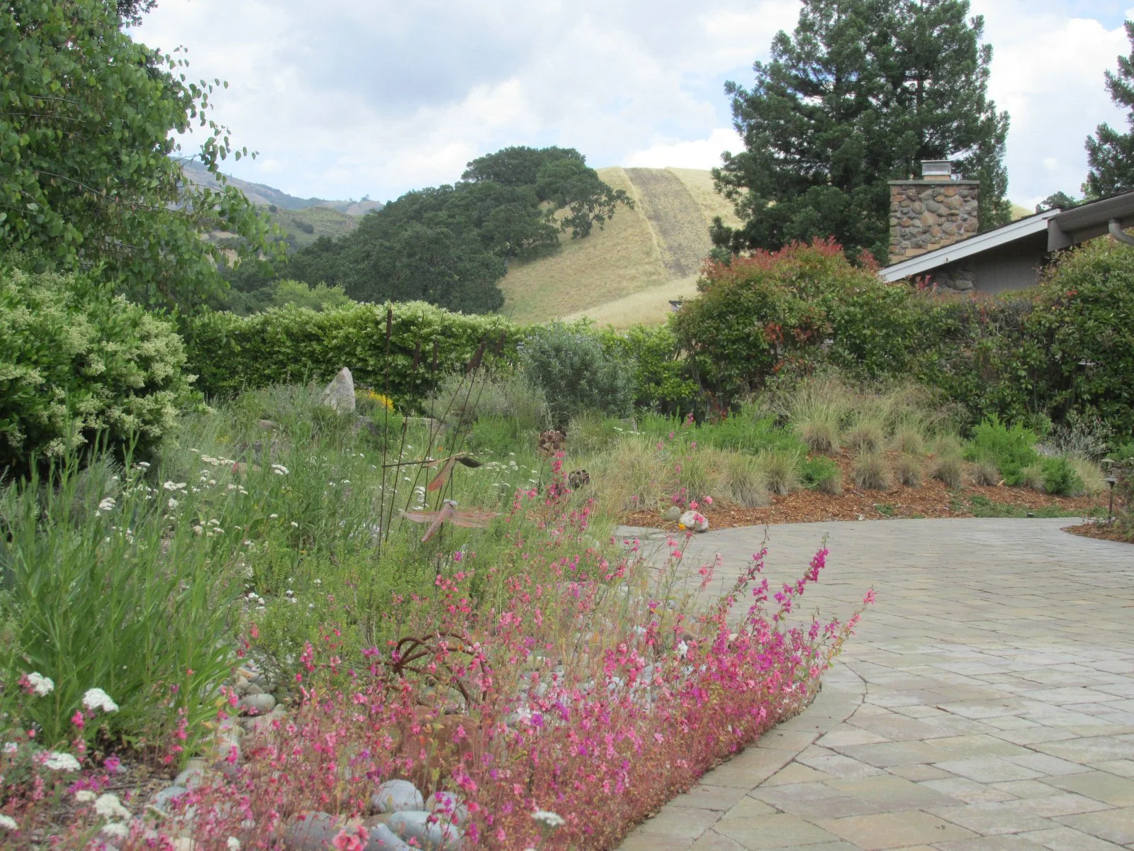 A geometric stone paver patio with an organic curved edge, surrounded by natural California native plants.