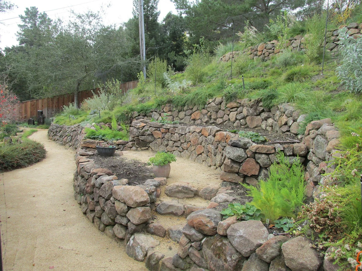 Stone landscape walls create an organic raised veggie bed area for this California couple to garden on their sunny hillside, and DG pathways make the area accessible.