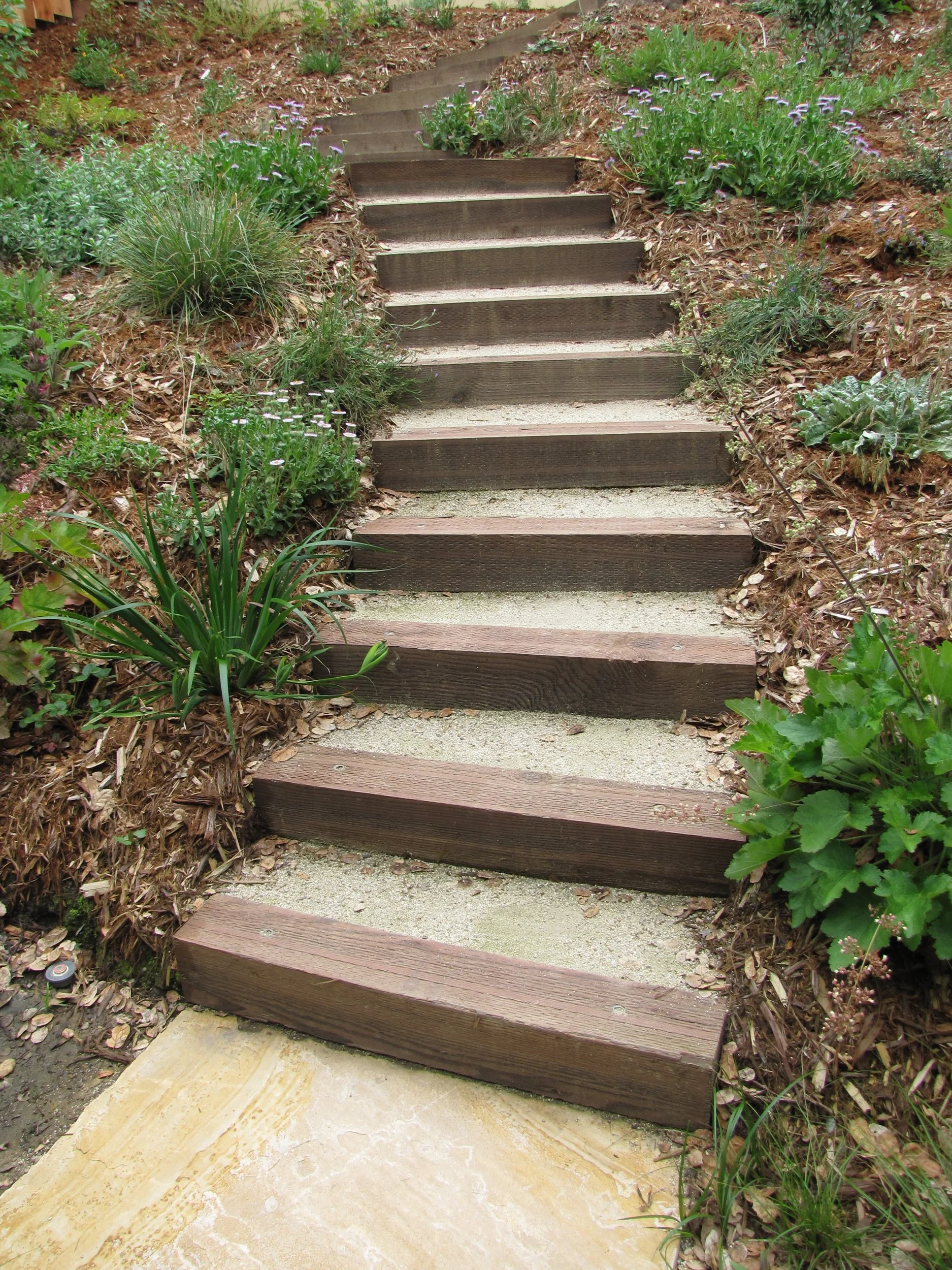 California native meadow in an oakland sloped hillside pollinator garden with timber tie steps and a flagstone landing up slope