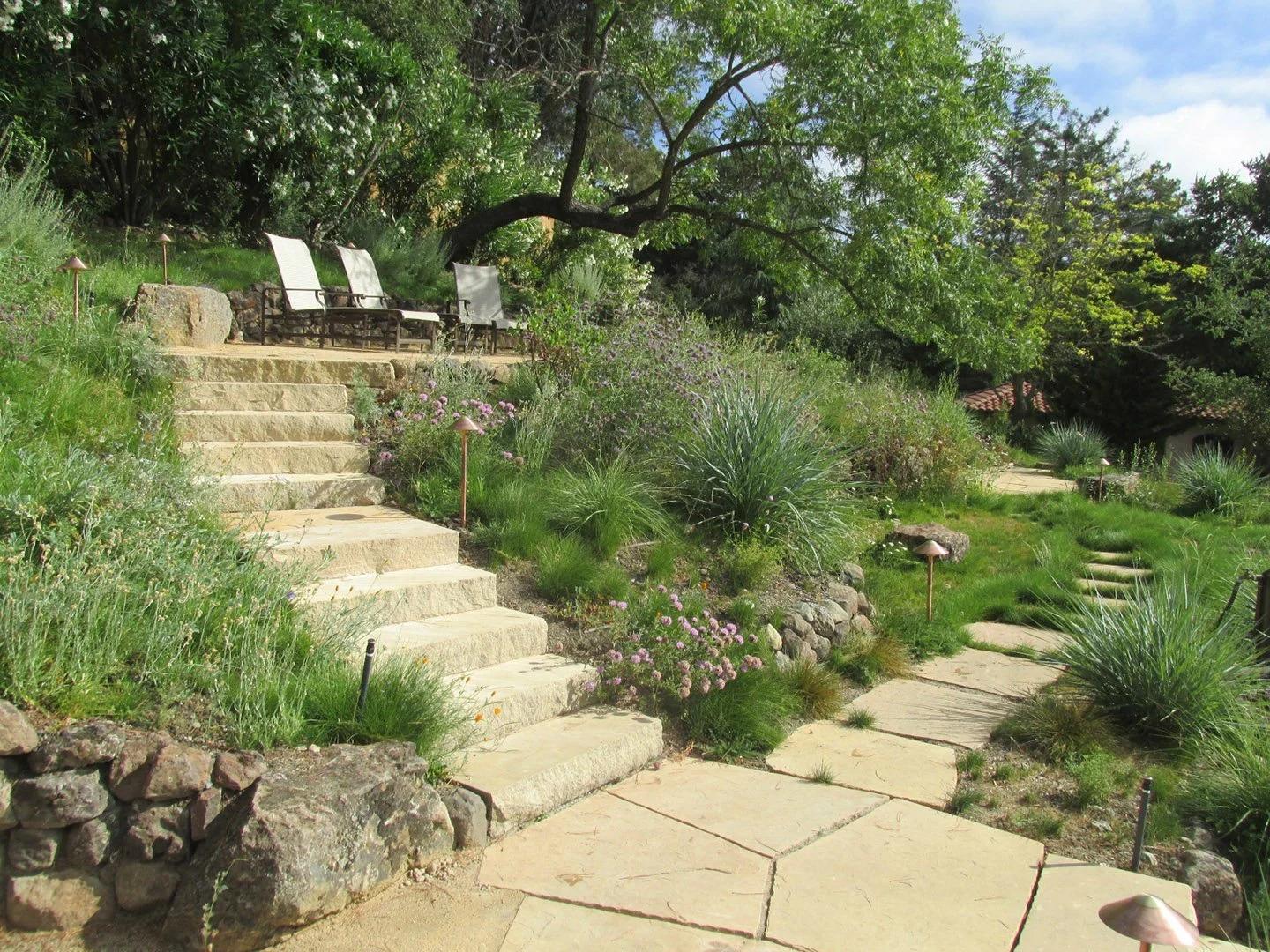 Sloped hillside terrace stone step flagstone patio pathway meadow sunny california native plants lafayette garden