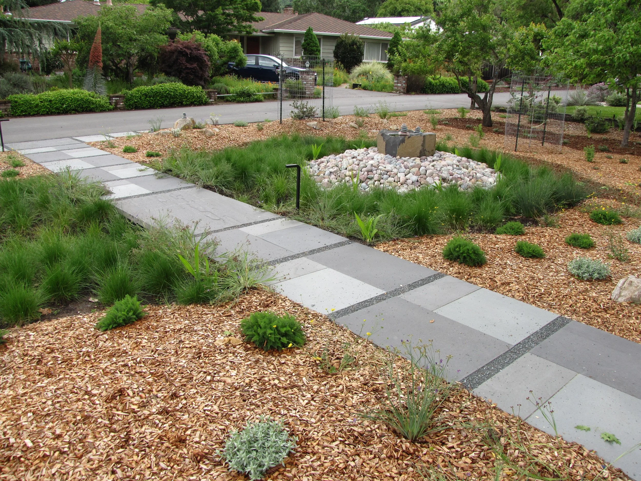 Front garden landscape design bluestone pavers modern paving pathway meadow california native plants east bay firewise waterwise bioswale rain garden