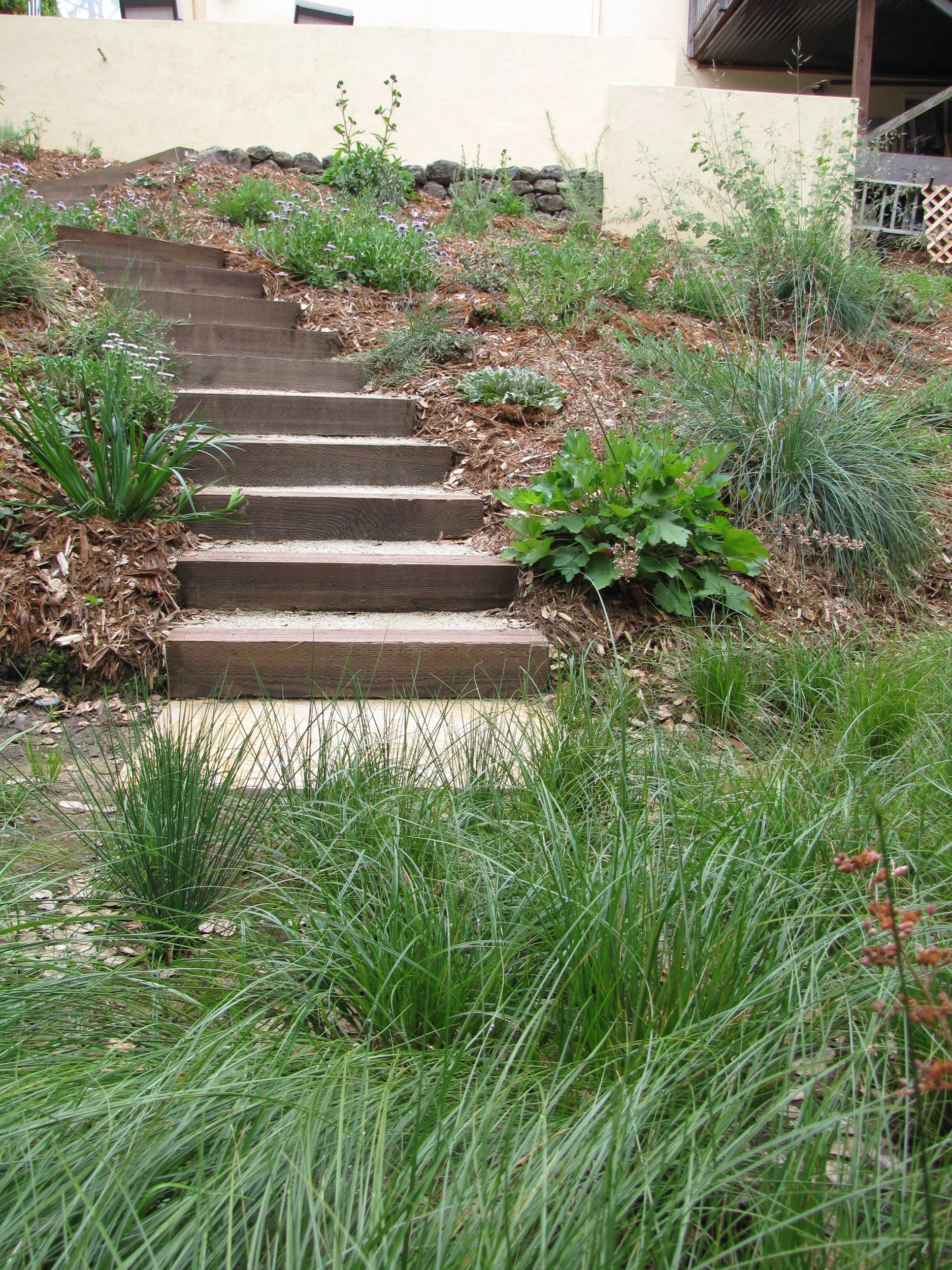 California native meadow in an oakland sloped hillside pollinator garden with timber tie steps and a flagstone landing up slope
