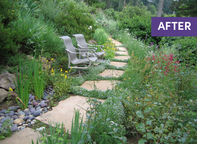 Before and after — Oakland hillside native garden transformation