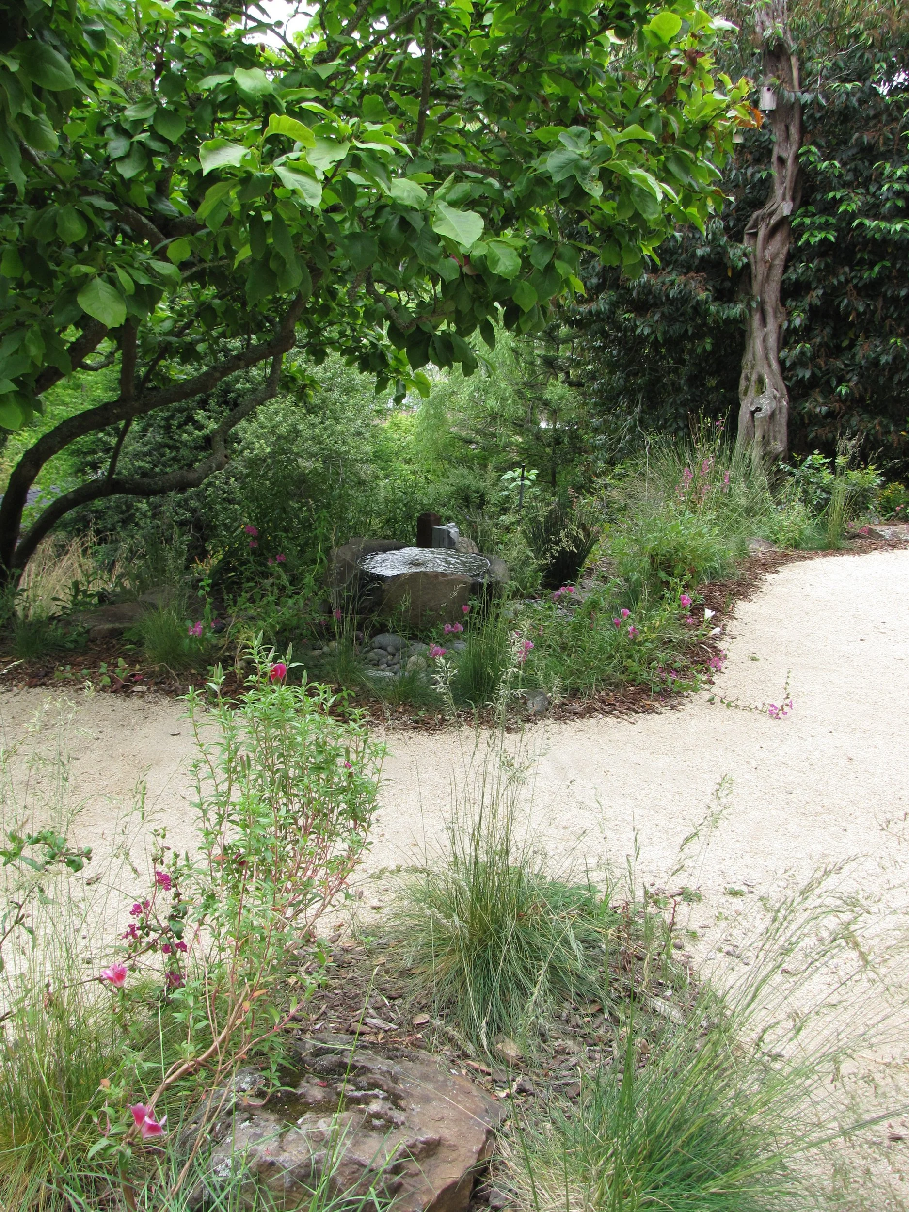 Decomposed granite (DG) patio in a berkeley hills sloped backyard with california native plants and a stone basin fountain bird-friendly garden